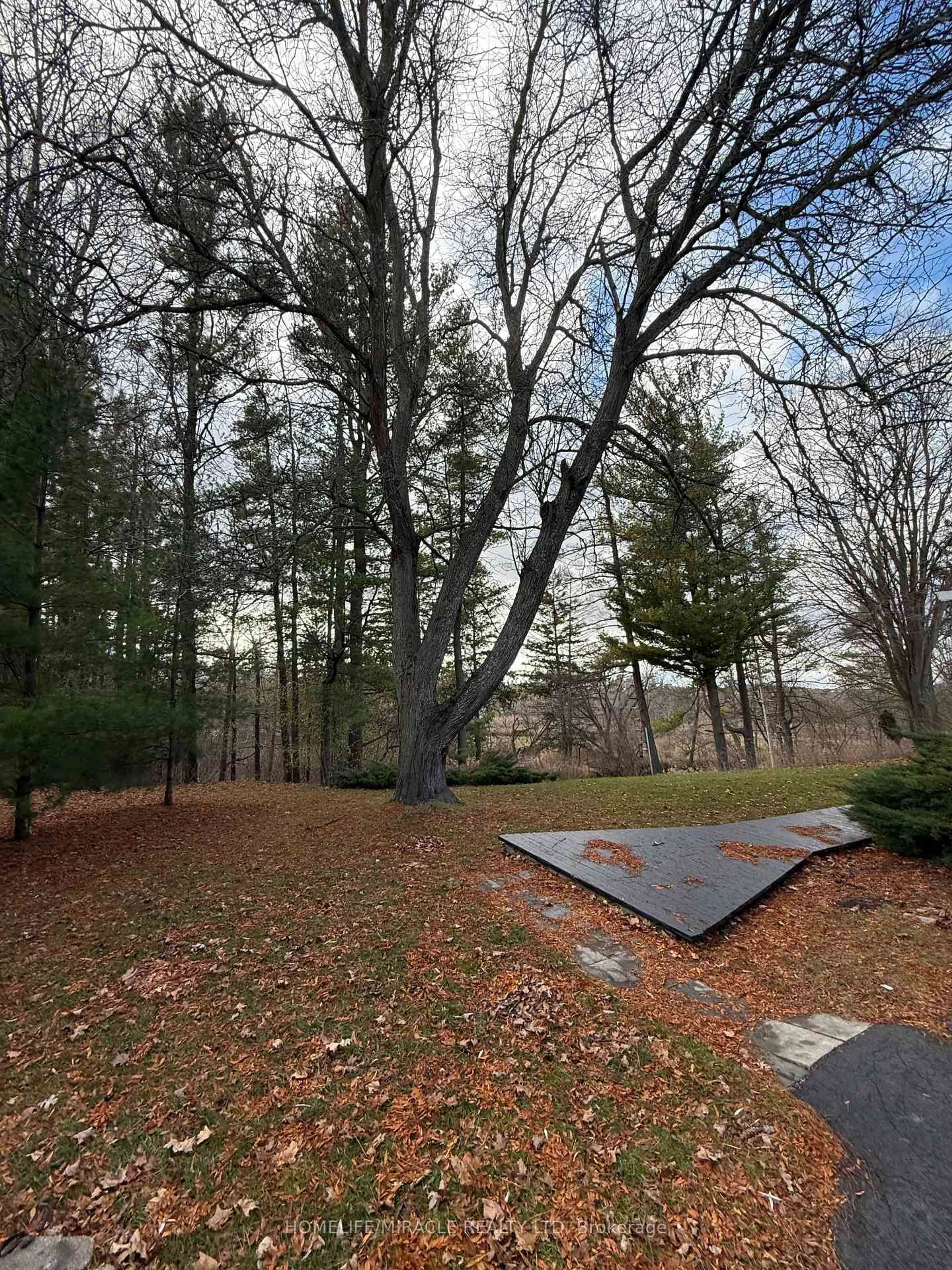 Unknown for 10 Yorkton Blvd, Markham Ontario L6C 0J9