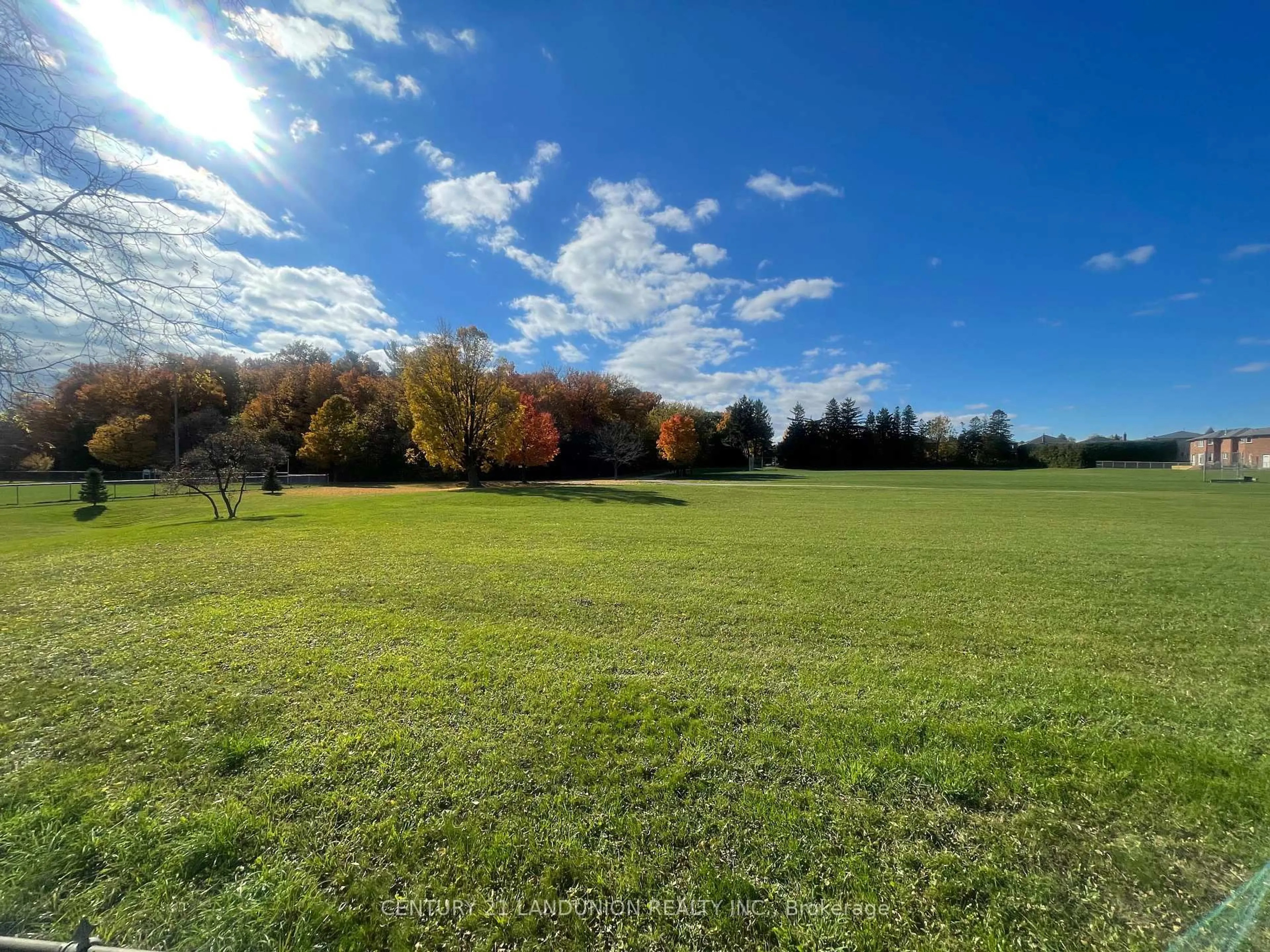 A pic from outside/outdoor area/front of a property/back of a property/a pic from drone, forest/trees view for 17 McConaghy Crt, Vaughan Ontario L6A 5C1
