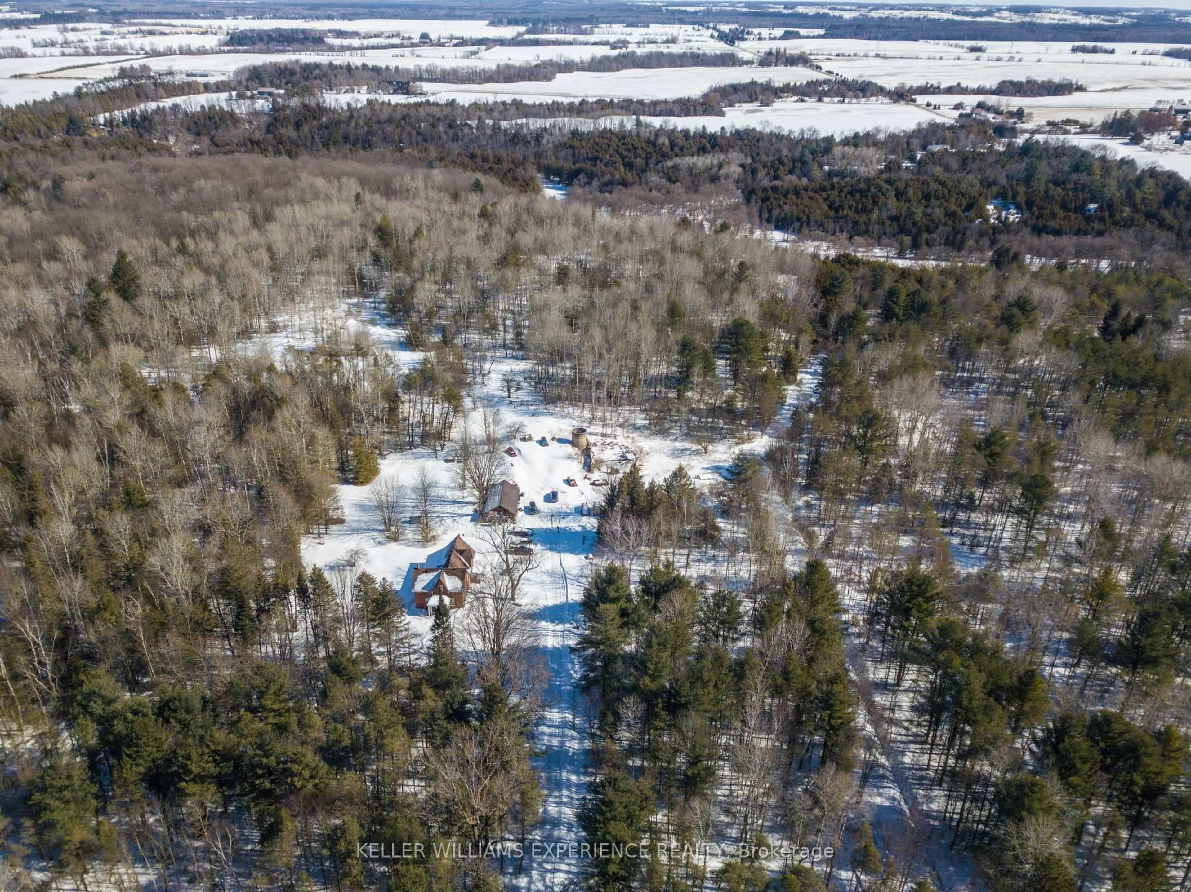 A pic from outside/outdoor area/front of a property/back of a property/a pic from drone, forest/trees view for 8137 4th Line, Essa Ontario L3W 0S5