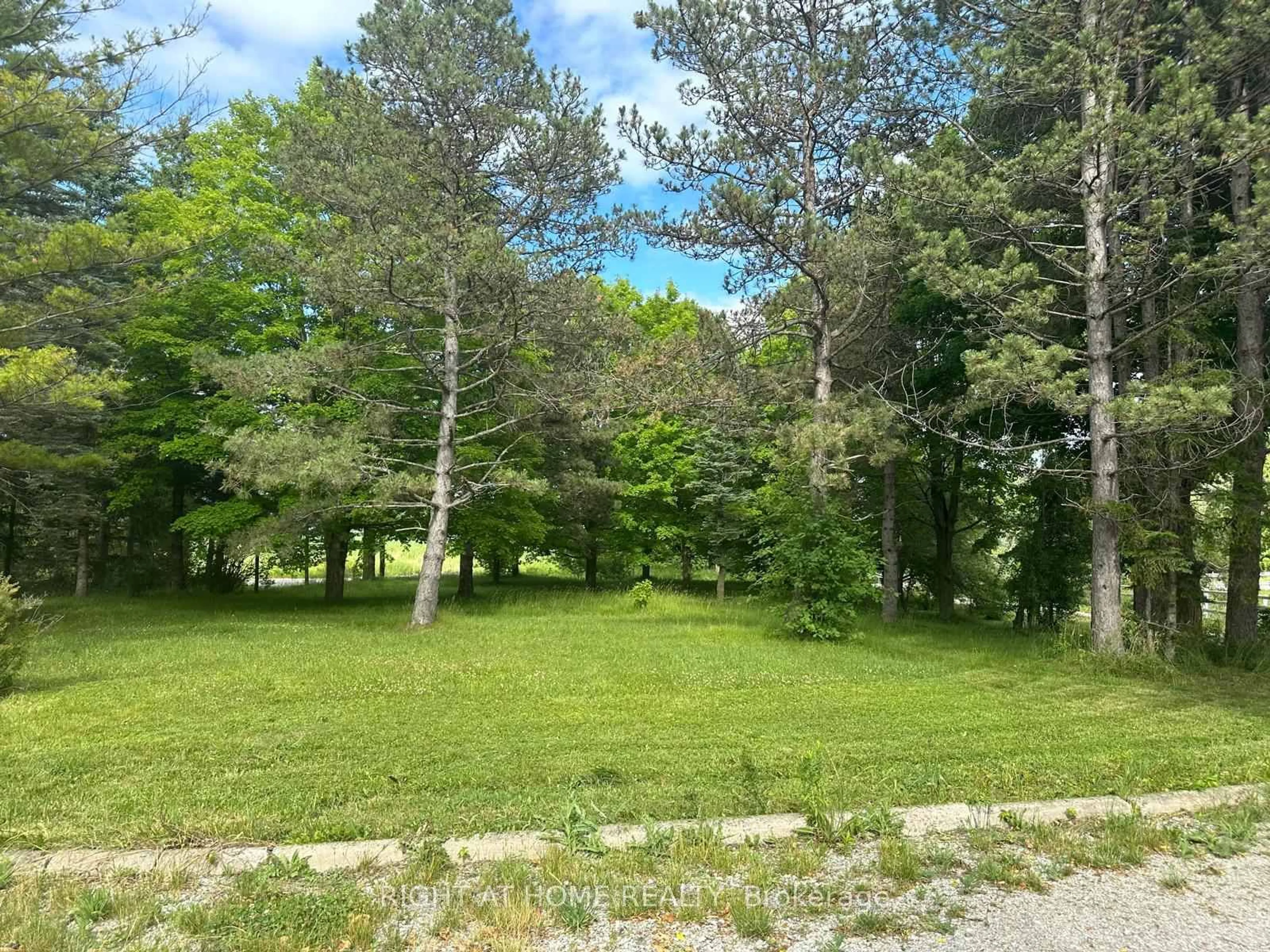 A pic from outside/outdoor area/front of a property/back of a property/a pic from drone, forest/trees view for 17400 10th Concession, King Ontario L0G 1T0