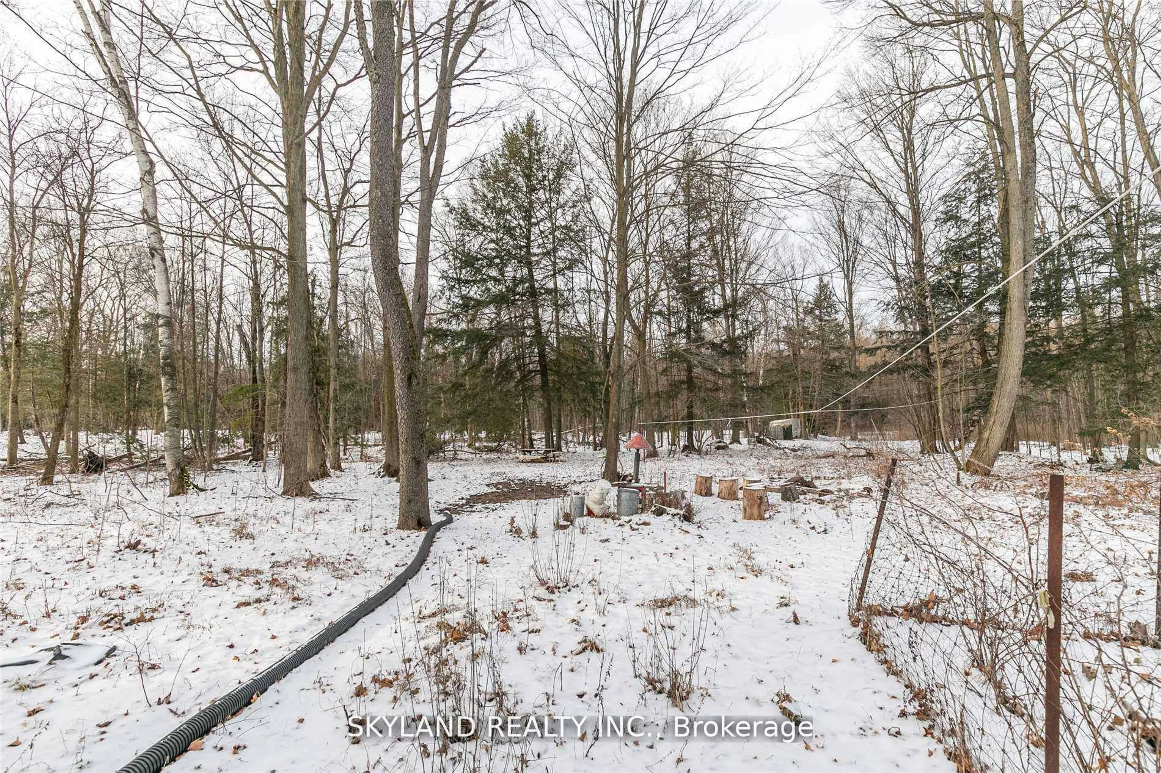 A pic from outside/outdoor area/front of a property/back of a property/a pic from drone, forest/trees view for 2692 Vandorf Sdrd, Whitchurch-Stouffville Ontario L0H 1G0