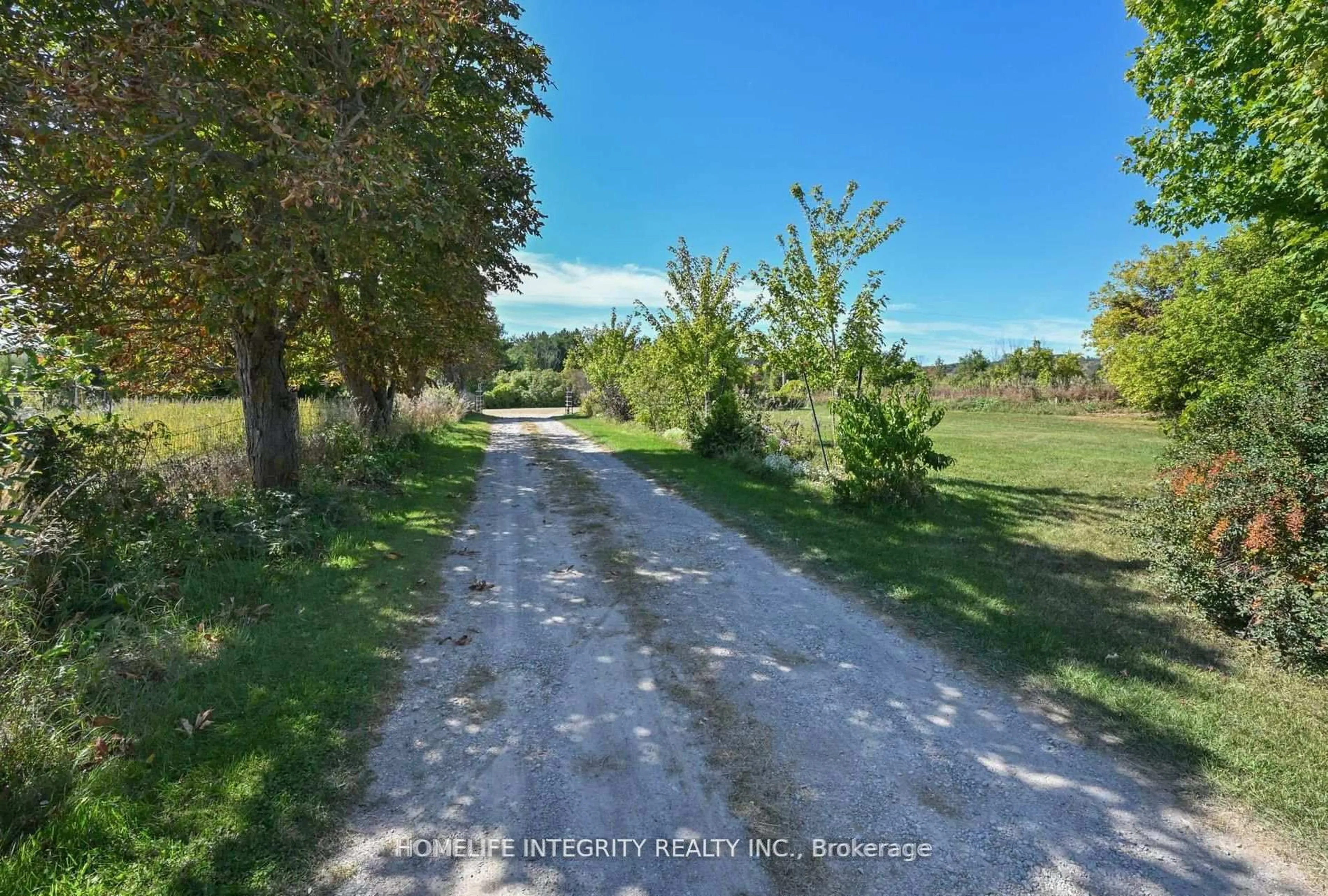 A pic from outside/outdoor area/front of a property/back of a property/a pic from drone, forest/trees view for 995305 Mono Adjala Townline, Adjala-Tosorontio Ontario L9R 1V1