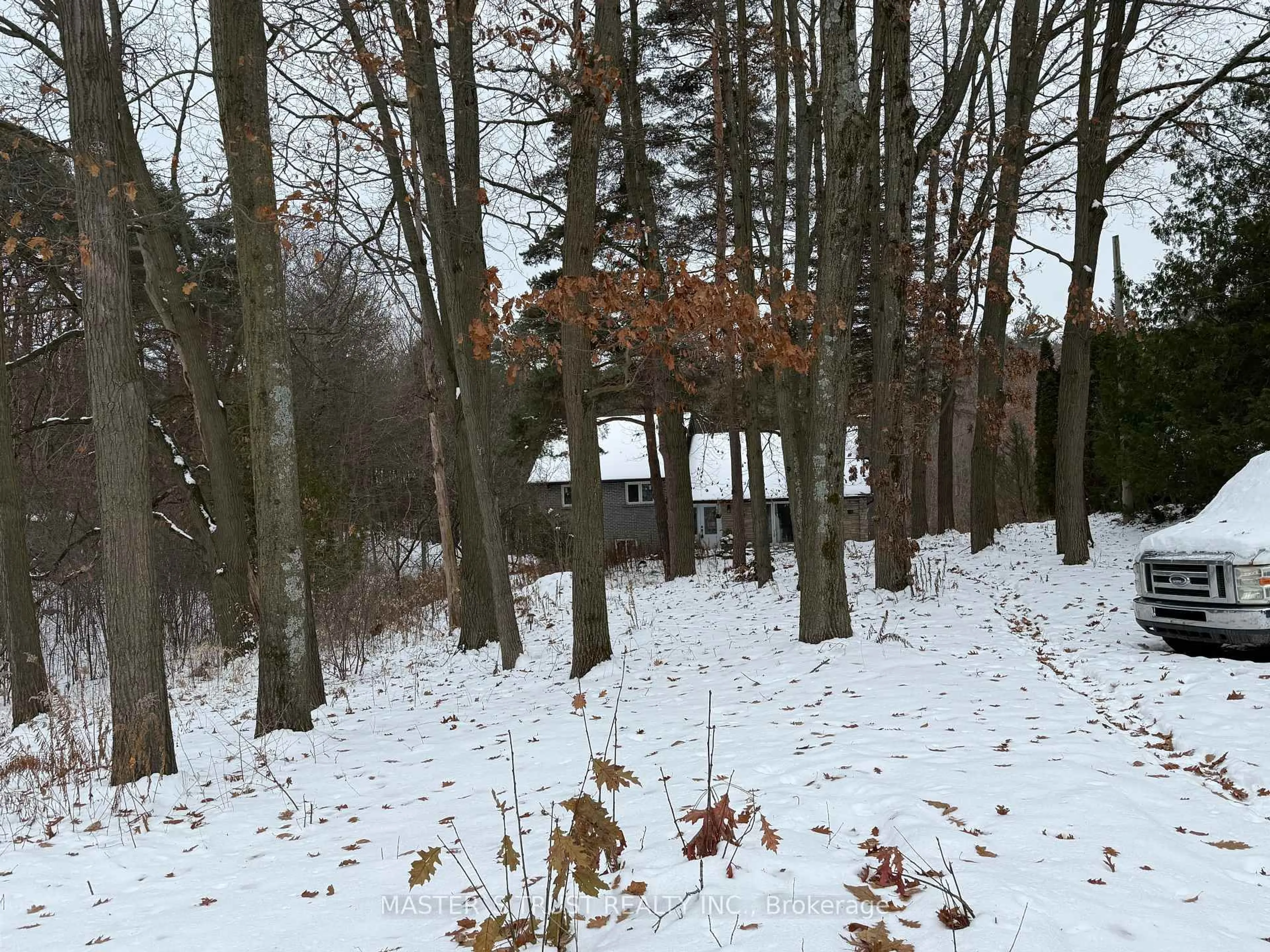 Shed for 14178 Yonge St, Aurora Ontario L4G 0P5