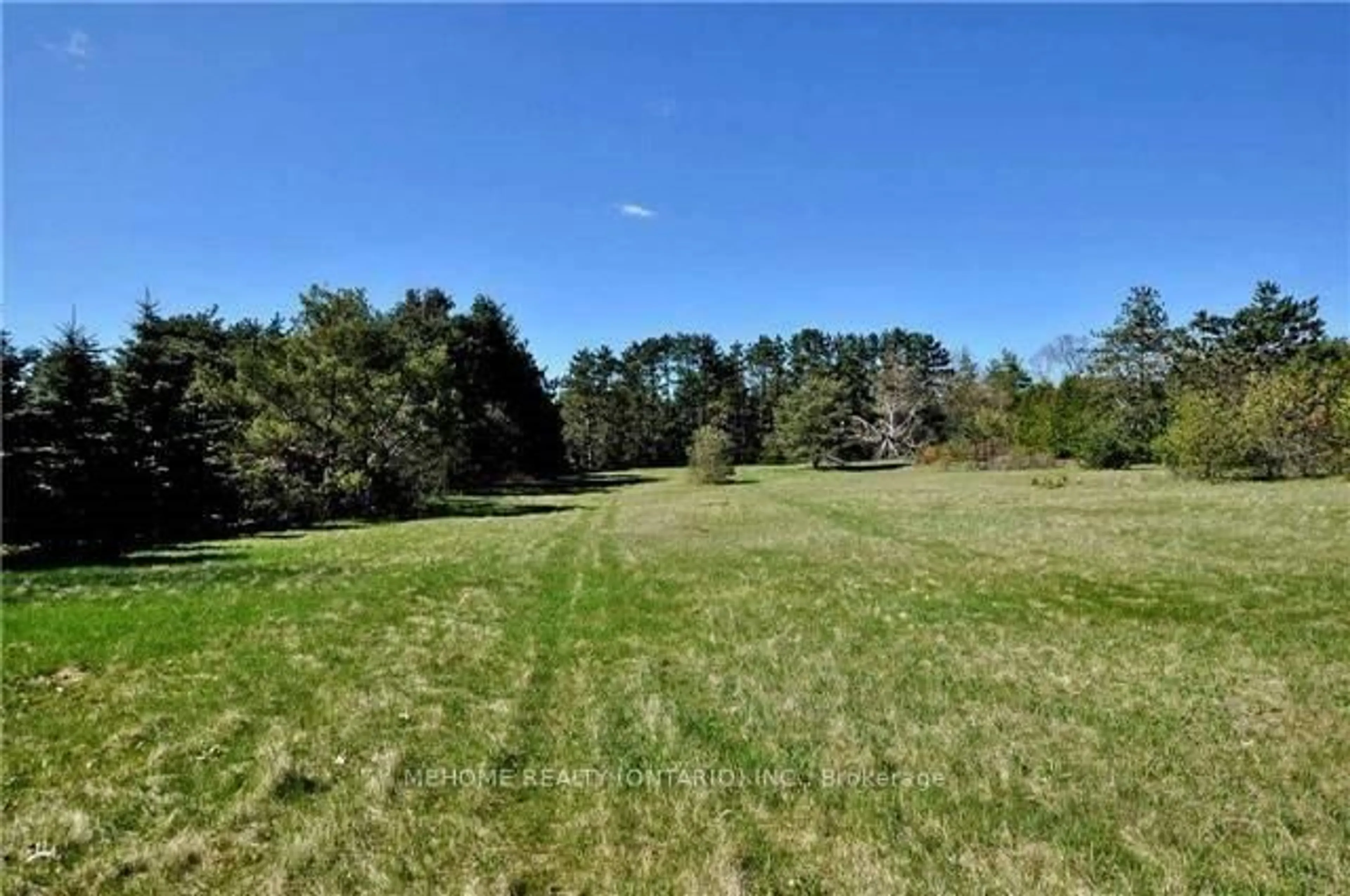 A pic from outside/outdoor area/front of a property/back of a property/a pic from drone, forest/trees view for 4192 Vivian Rd, Whitchurch-Stouffville Ontario L0G 1E0