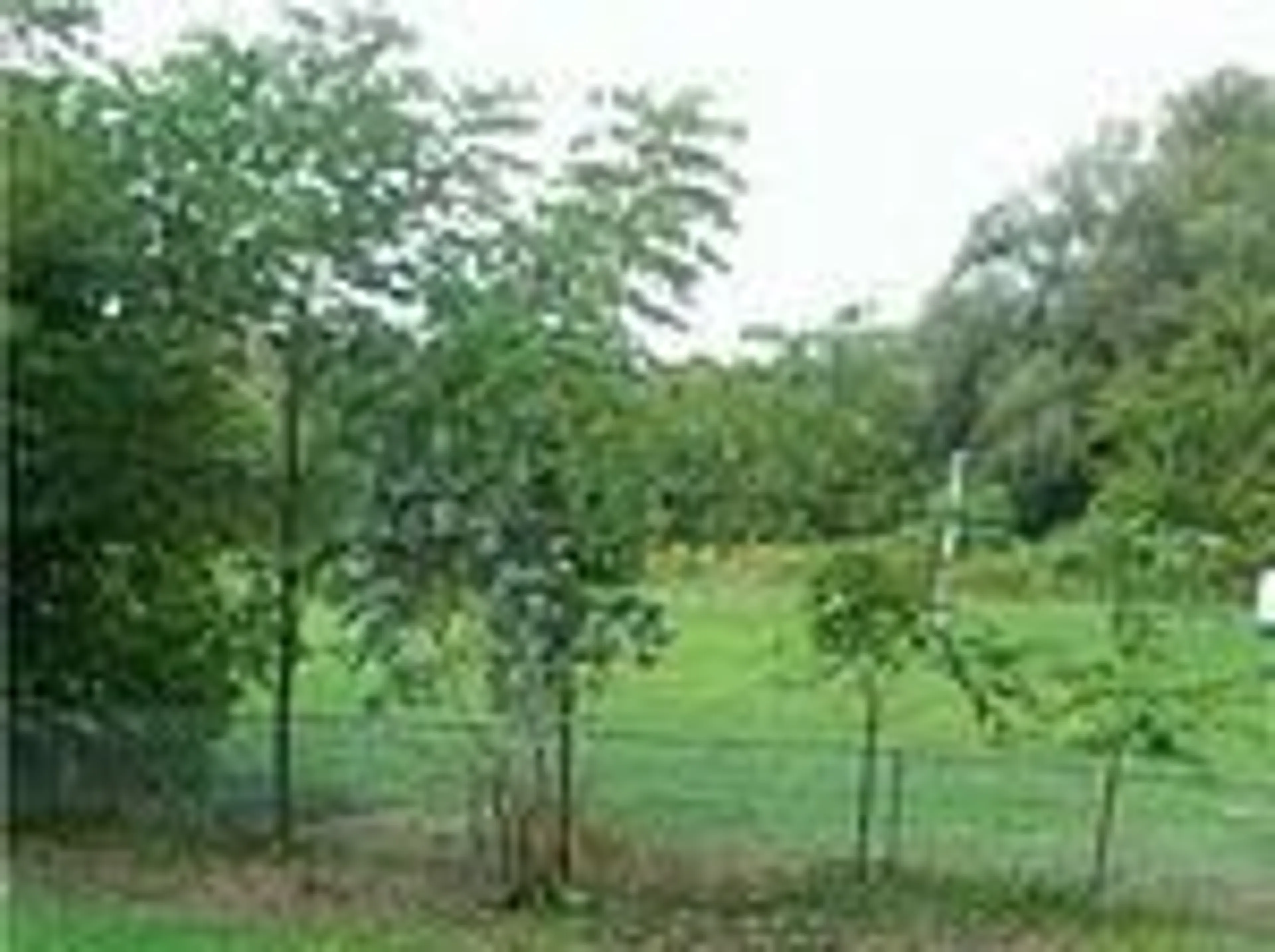 Blurry image for 194 Victoria St, New Tecumseth Ontario L9R 1V6