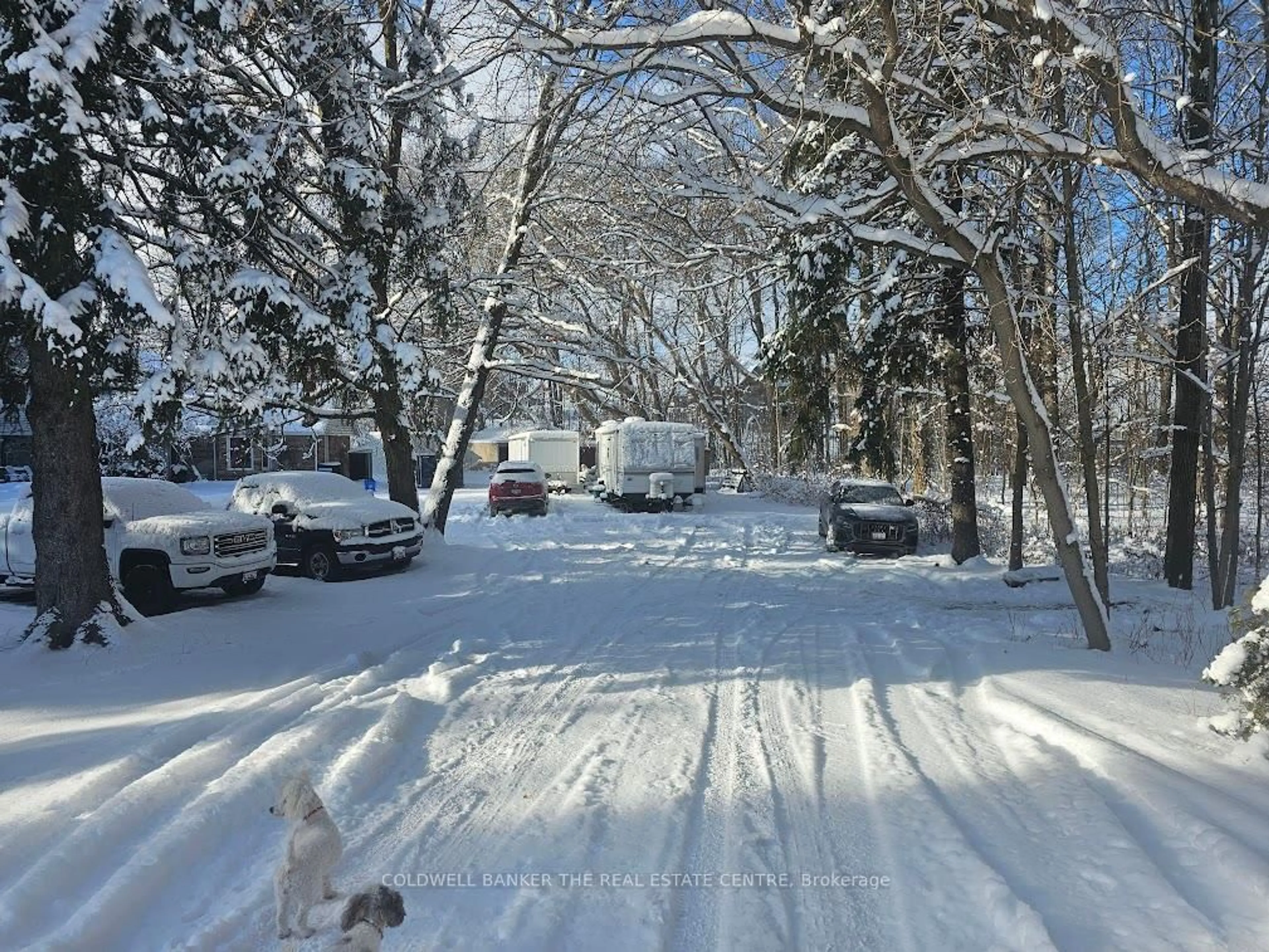 Parking for 158 Samuel Lount Rd, East Gwillimbury Ontario L9N 1K3