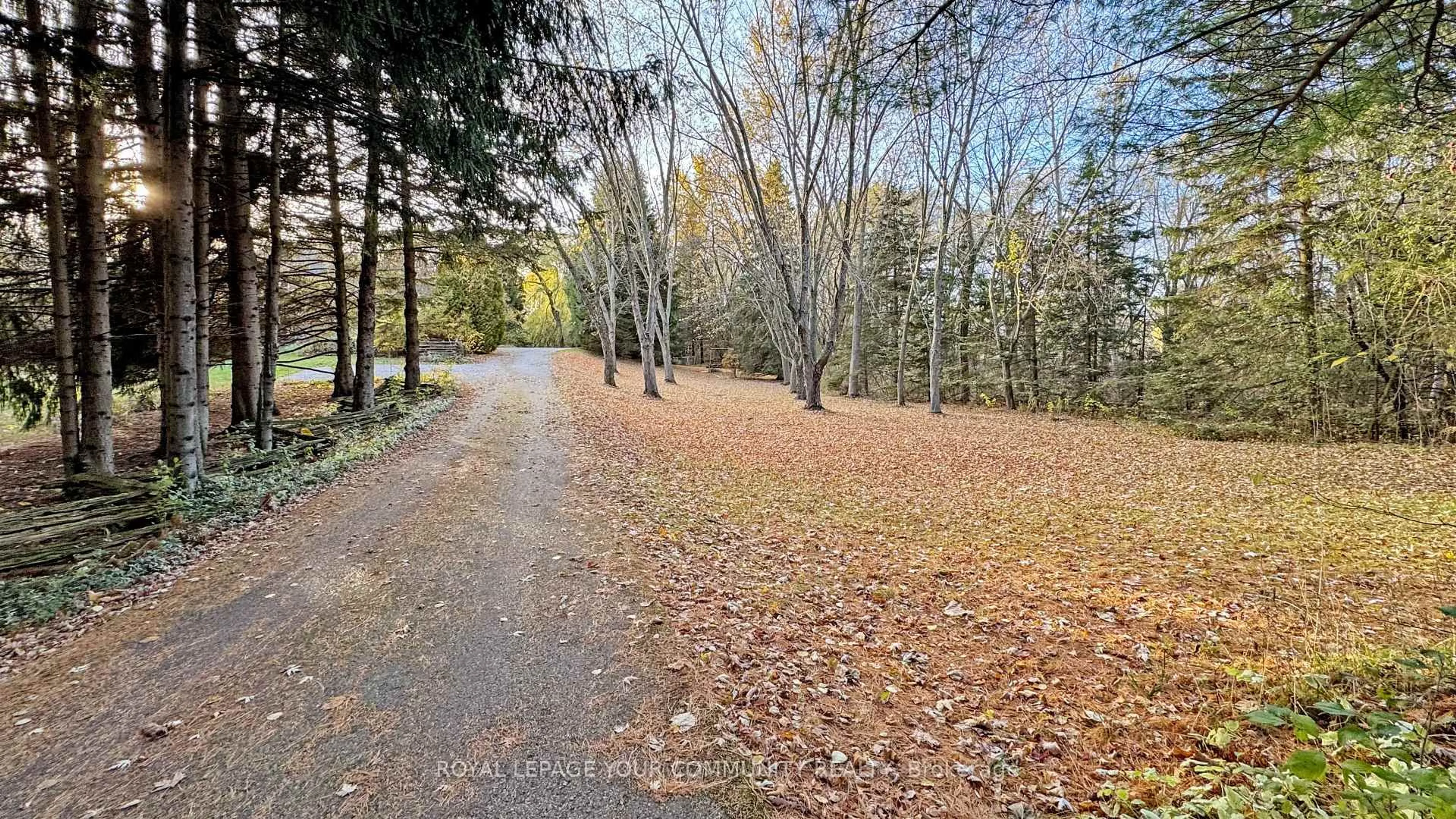 A pic from outside/outdoor area/front of a property/back of a property/a pic from drone, forest/trees view for 1538 Concession road 4 Concession, Adjala-Tosorontio Ontario L0G 1L0