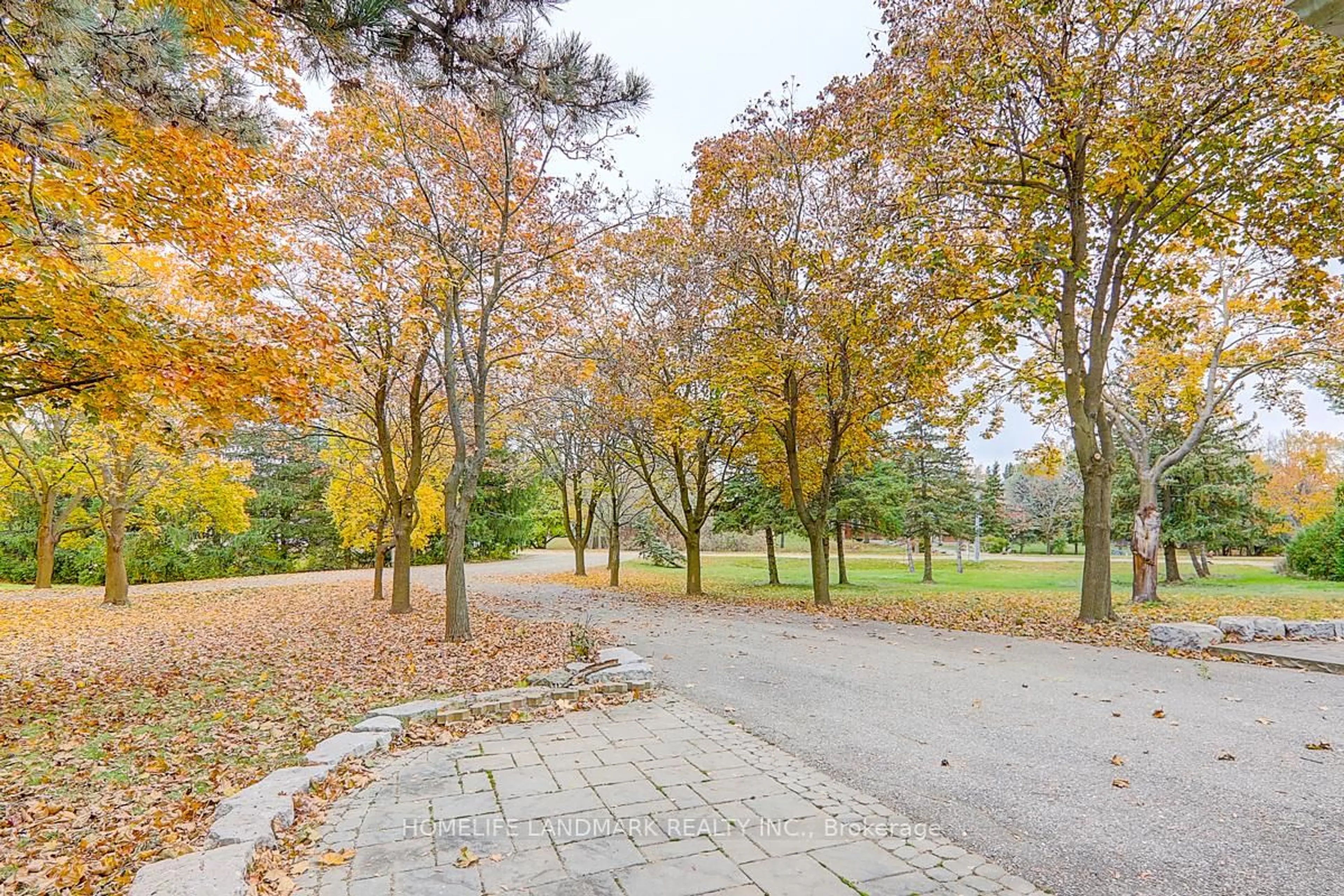 Patio, forest/trees view for 99 Burndean Crt, Richmond Hill Ontario L4C 9W5
