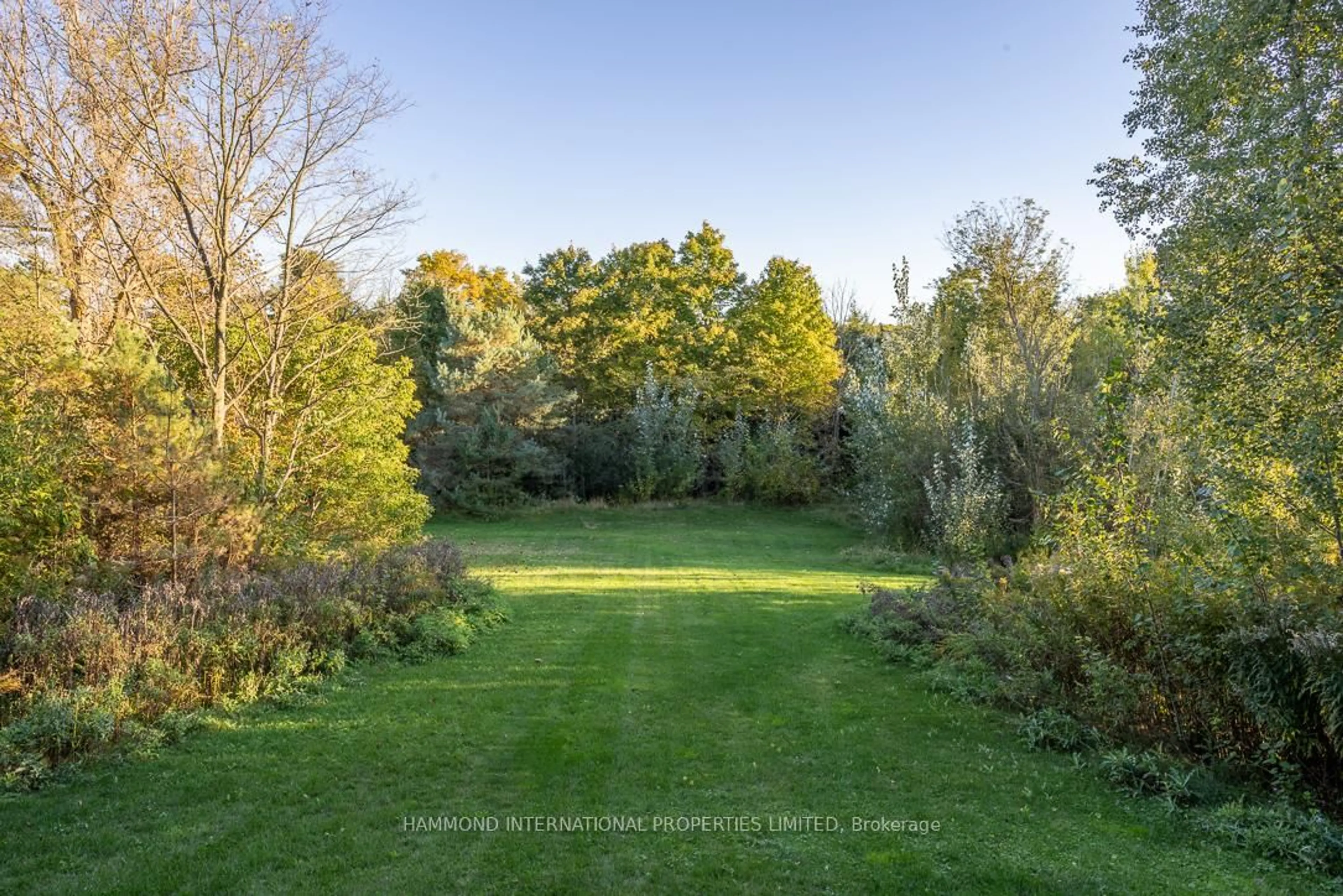 A pic from outside/outdoor area/front of a property/back of a property/a pic from drone, forest/trees view for 41 Greenvalley Circ, Whitchurch-Stouffville Ontario L3Y 4W1