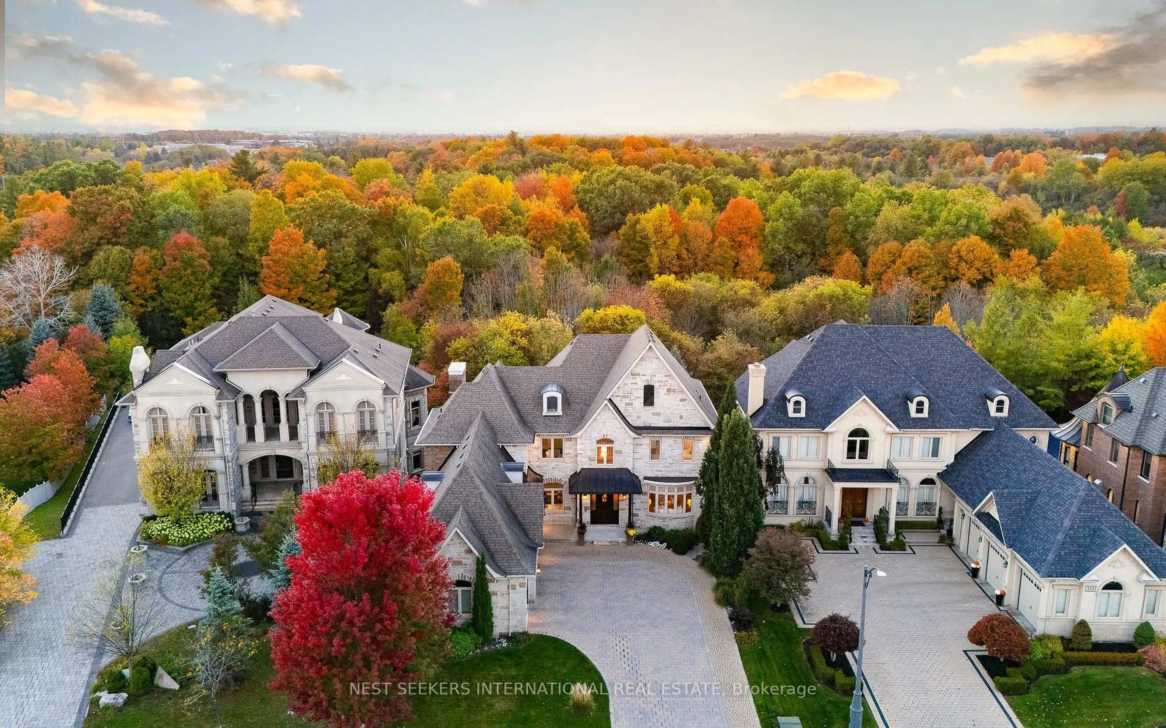 A pic from outside/outdoor area/front of a property/back of a property/a pic from drone, mountain view for 79 Grandvista Cres, Vaughan Ontario L4H 3J6