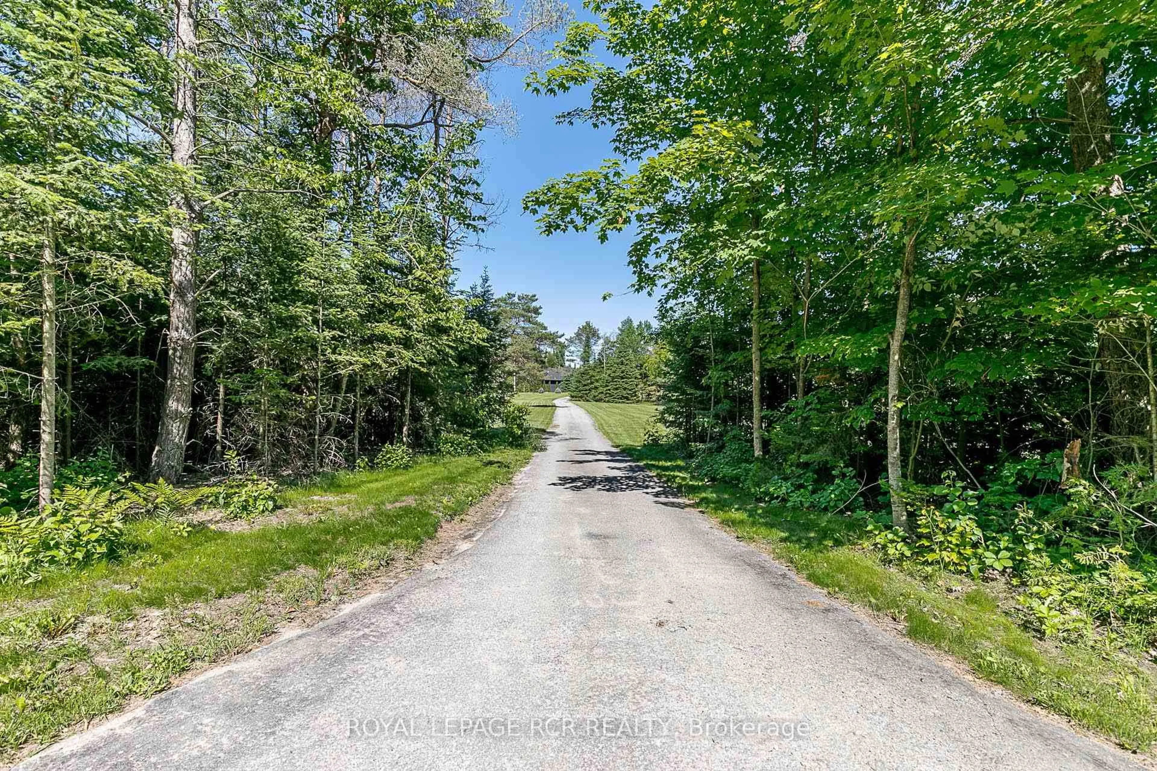 A pic from outside/outdoor area/front of a property/back of a property/a pic from drone, forest/trees view for 10169 Concession 3 Rd, Uxbridge Ontario L0E 1T0
