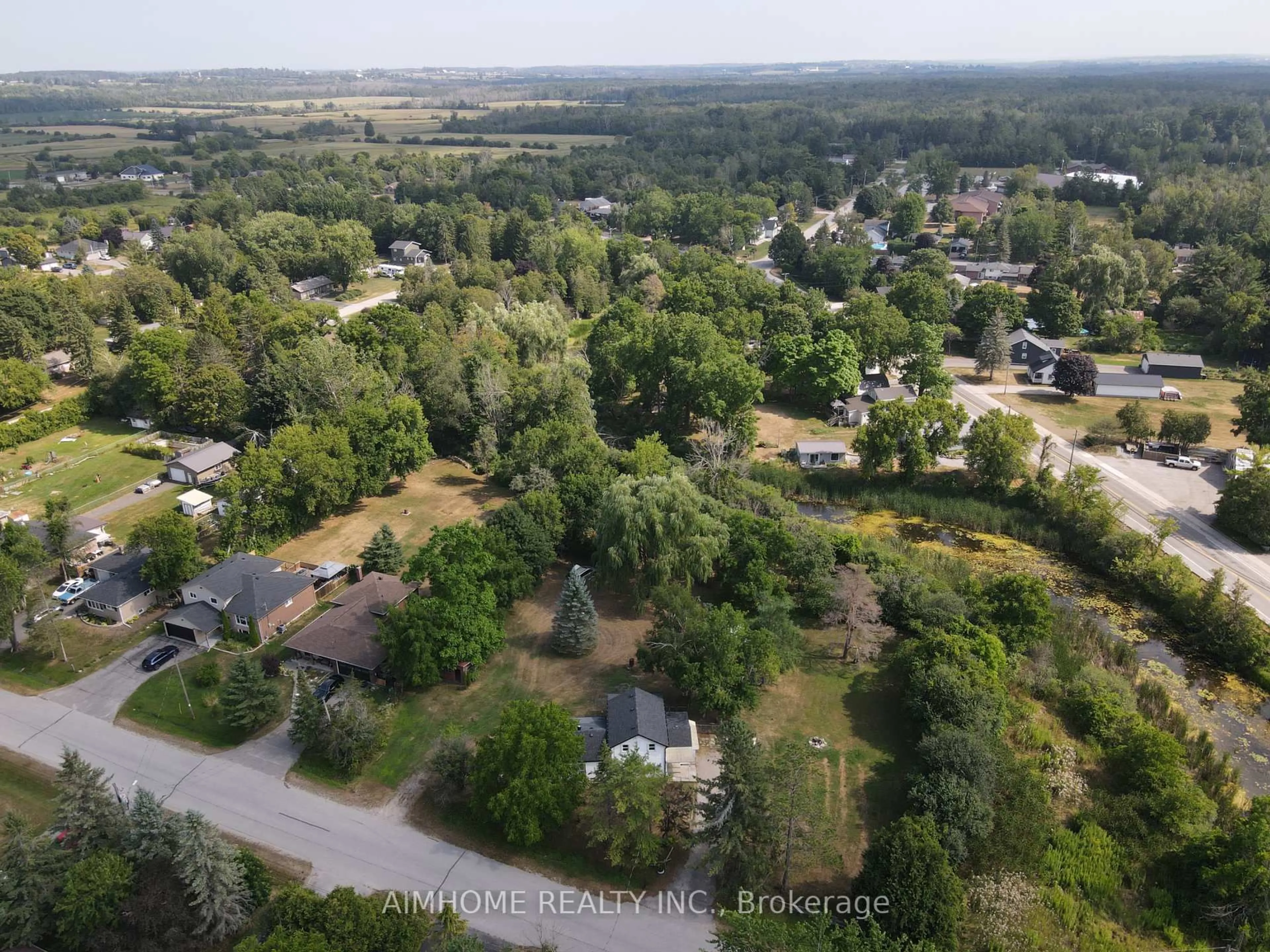 A pic from outside/outdoor area/front of a property/back of a property/a pic from drone, forest/trees view for 15 Main St, Georgina Ontario L0E 1N0