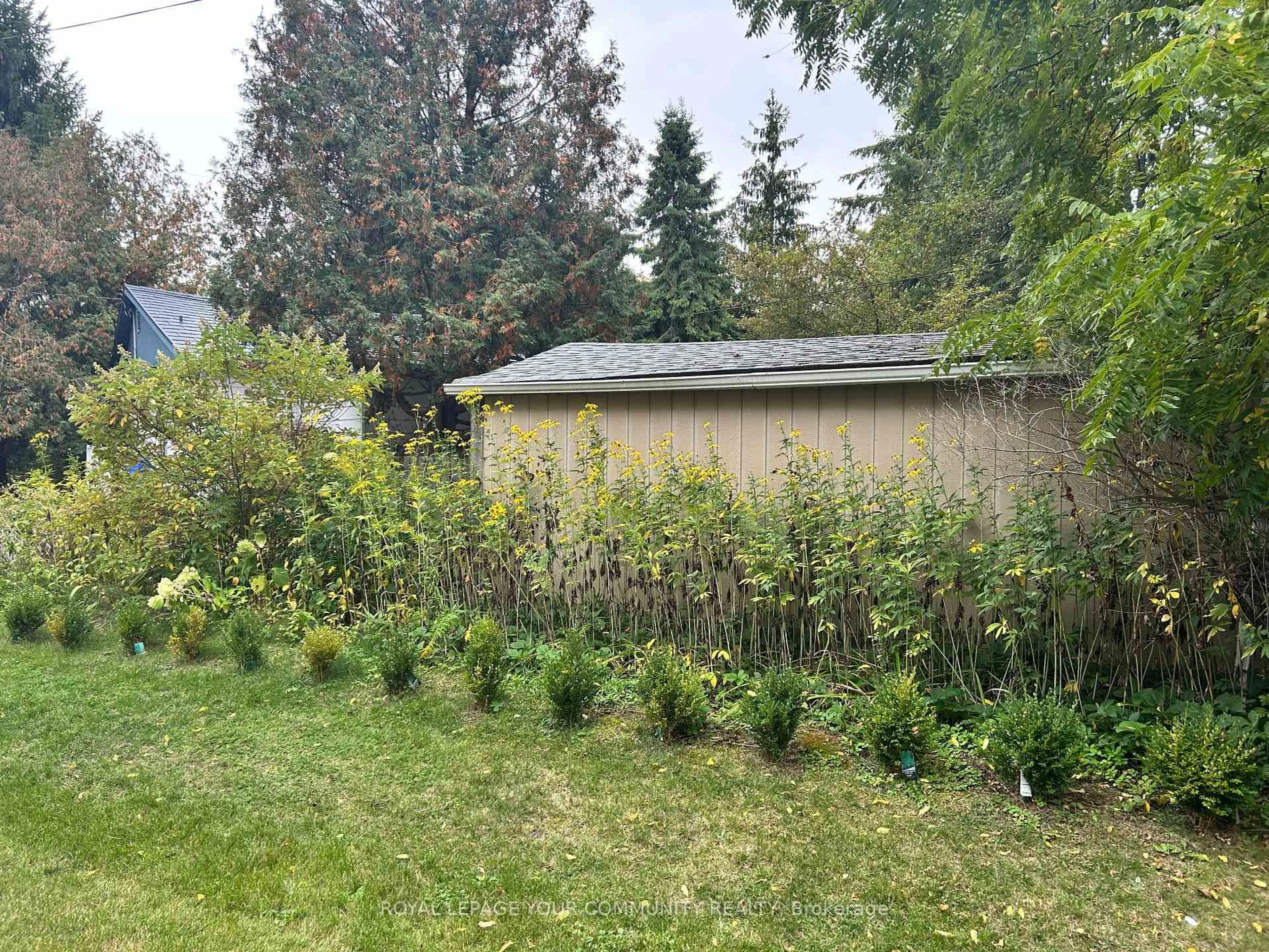 Shed for 66 Bradford St, East Gwillimbury Ontario L9N 1G6