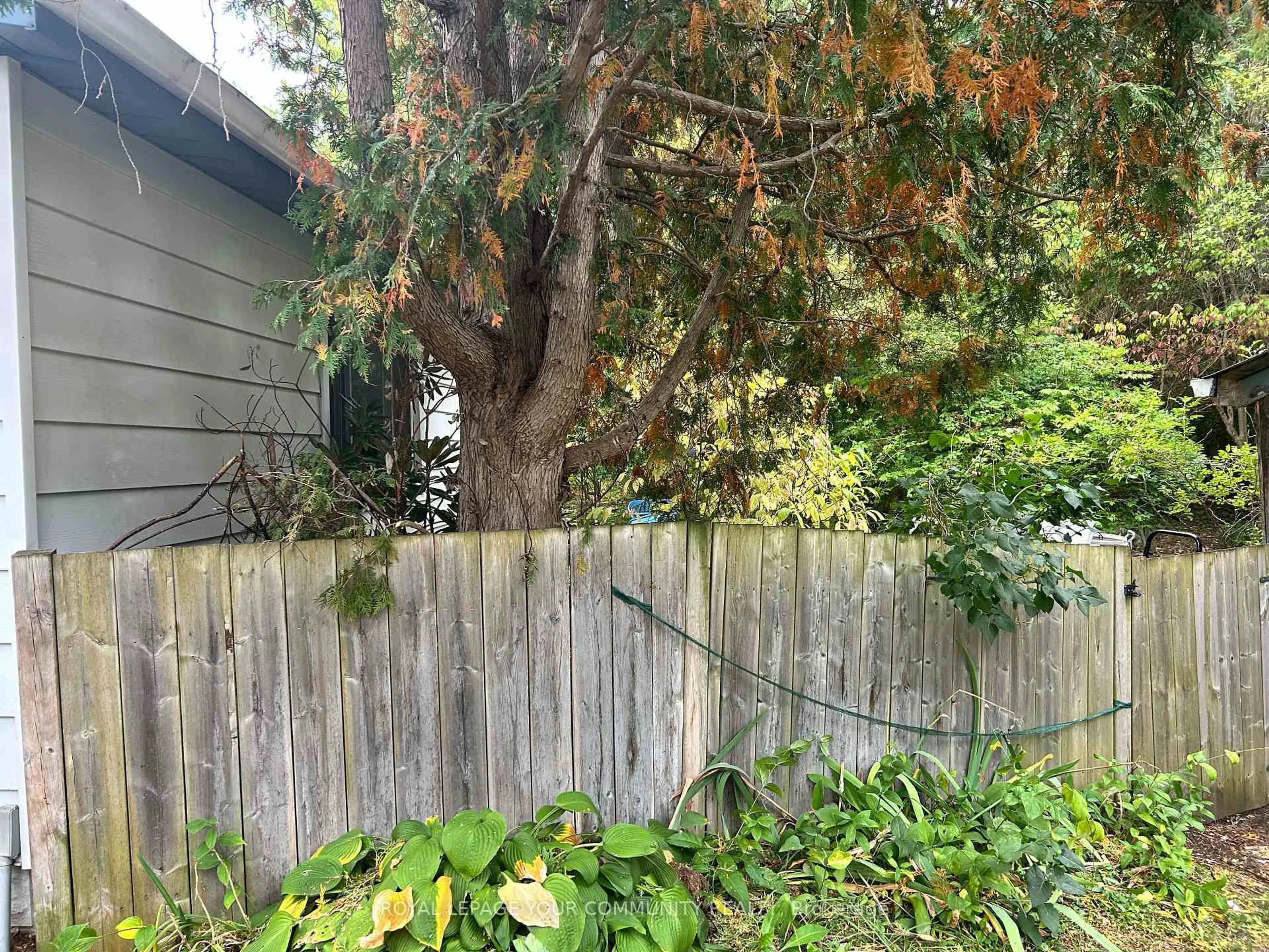 A pic from outside/outdoor area/front of a property/back of a property/a pic from drone, forest/trees view for 66 Bradford St, East Gwillimbury Ontario L9N 1G6