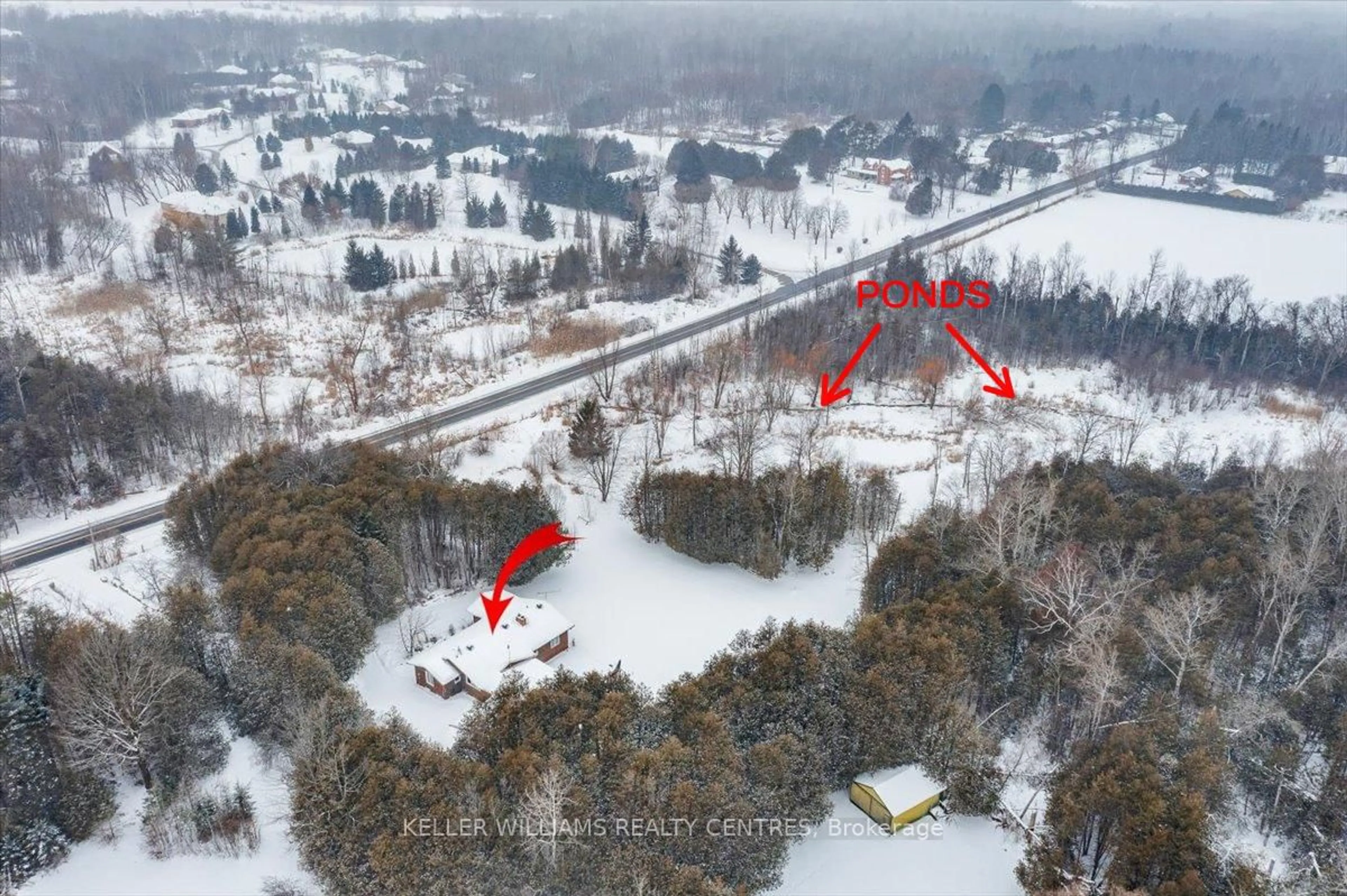 A pic from outside/outdoor area/front of a property/back of a property/a pic from drone, forest/trees view for 21489 Warden Ave, East Gwillimbury Ontario L0G 1R0