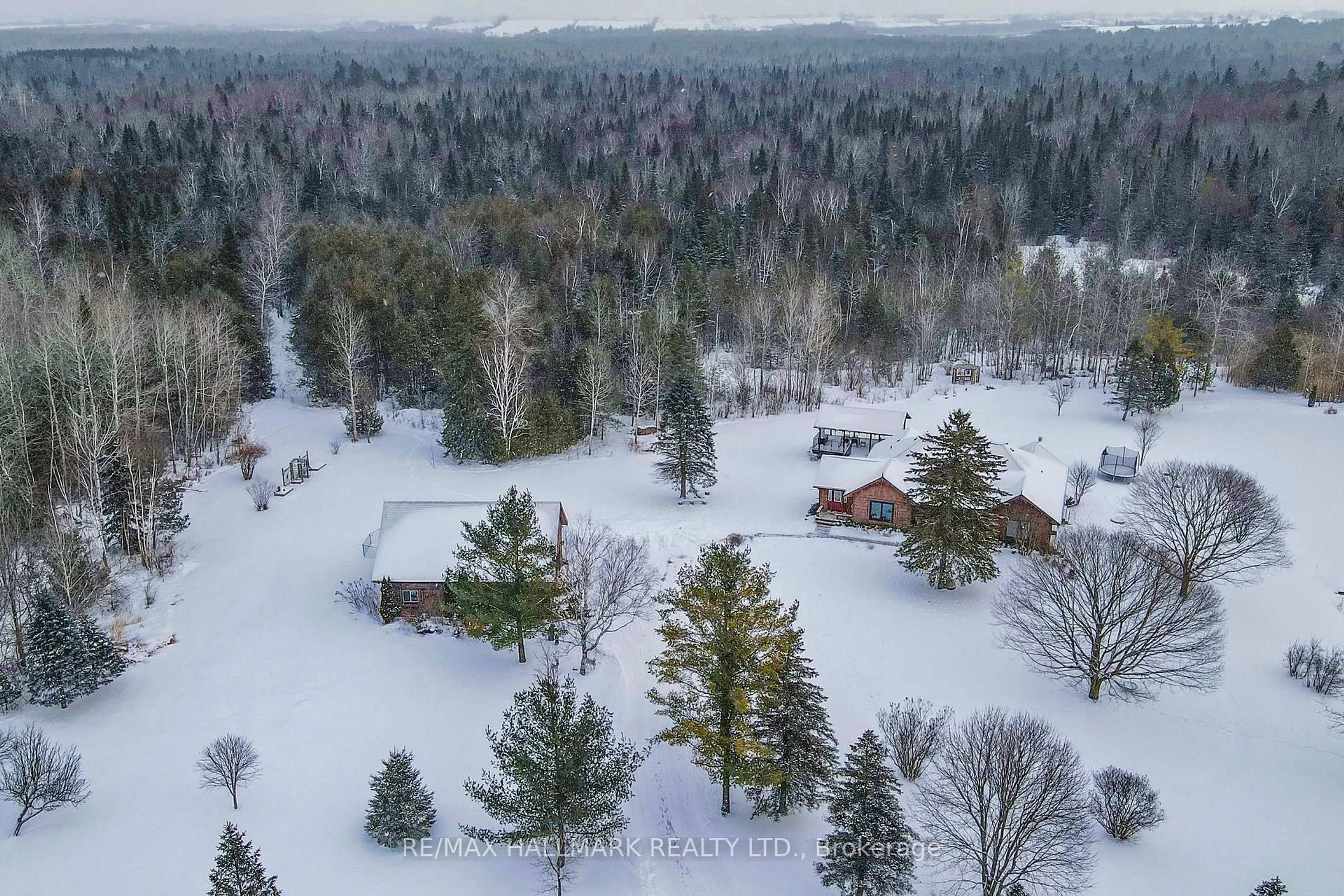 A pic from outside/outdoor area/front of a property/back of a property/a pic from drone, forest/trees view for 13551 Concession 5 Rd, Uxbridge Ontario L9P 1R2