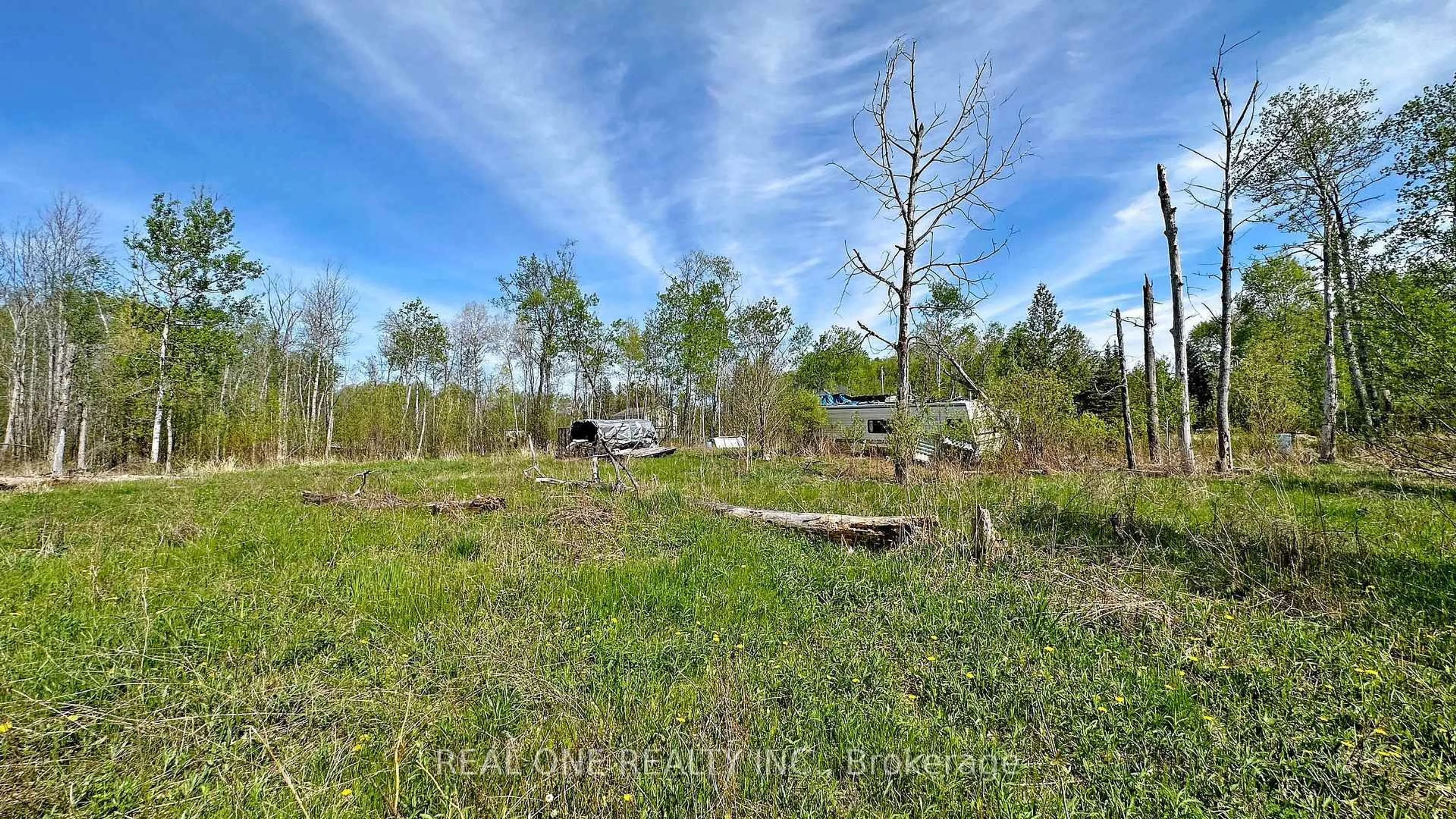 A pic from outside/outdoor area/front of a property/back of a property/a pic from drone, forest/trees view for 4778 Holborn Rd, East Gwillimbury Ontario L0G 1N0