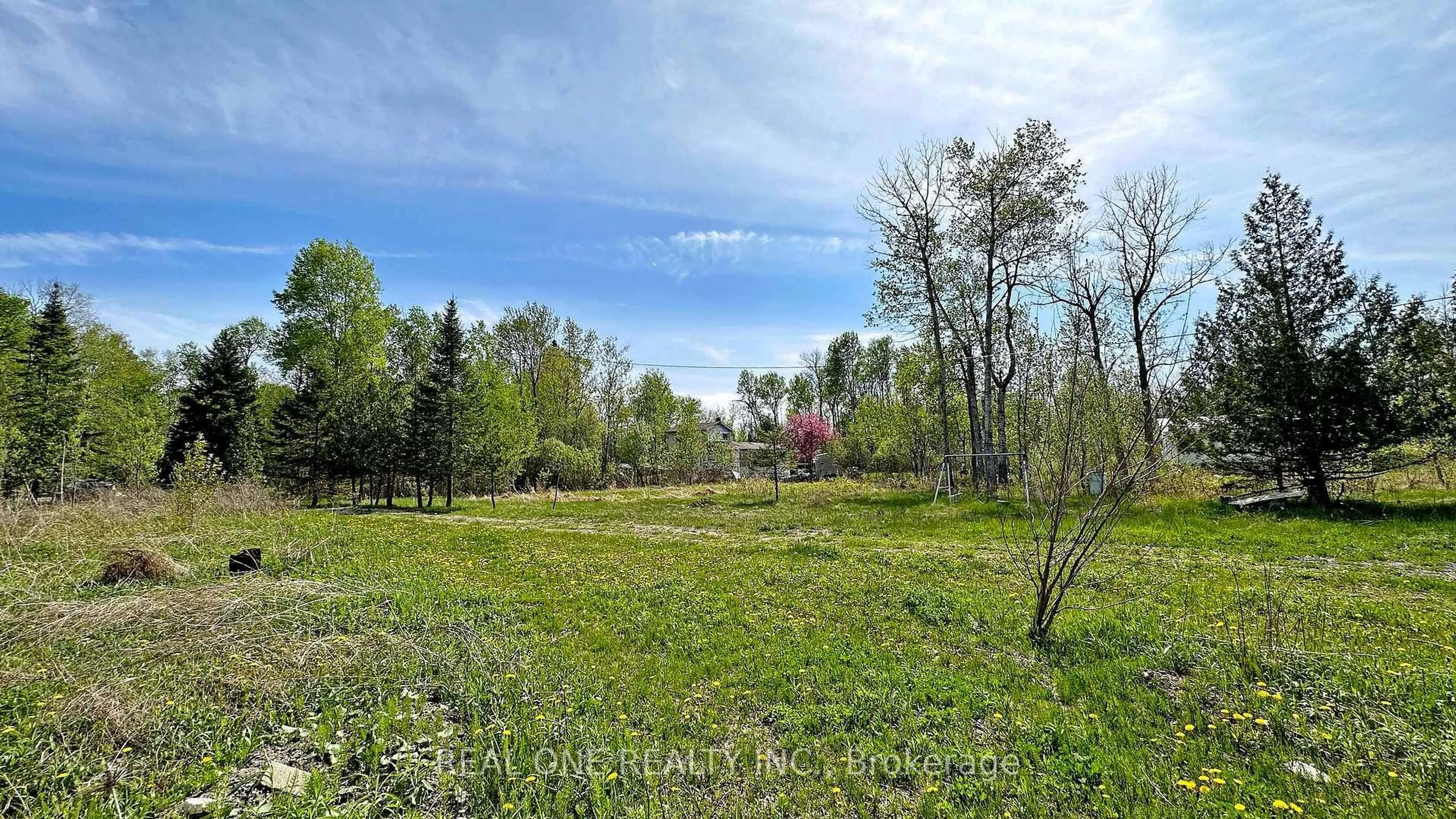 A pic from outside/outdoor area/front of a property/back of a property/a pic from drone, forest/trees view for 4778 Holborn Rd, East Gwillimbury Ontario L0G 1N0