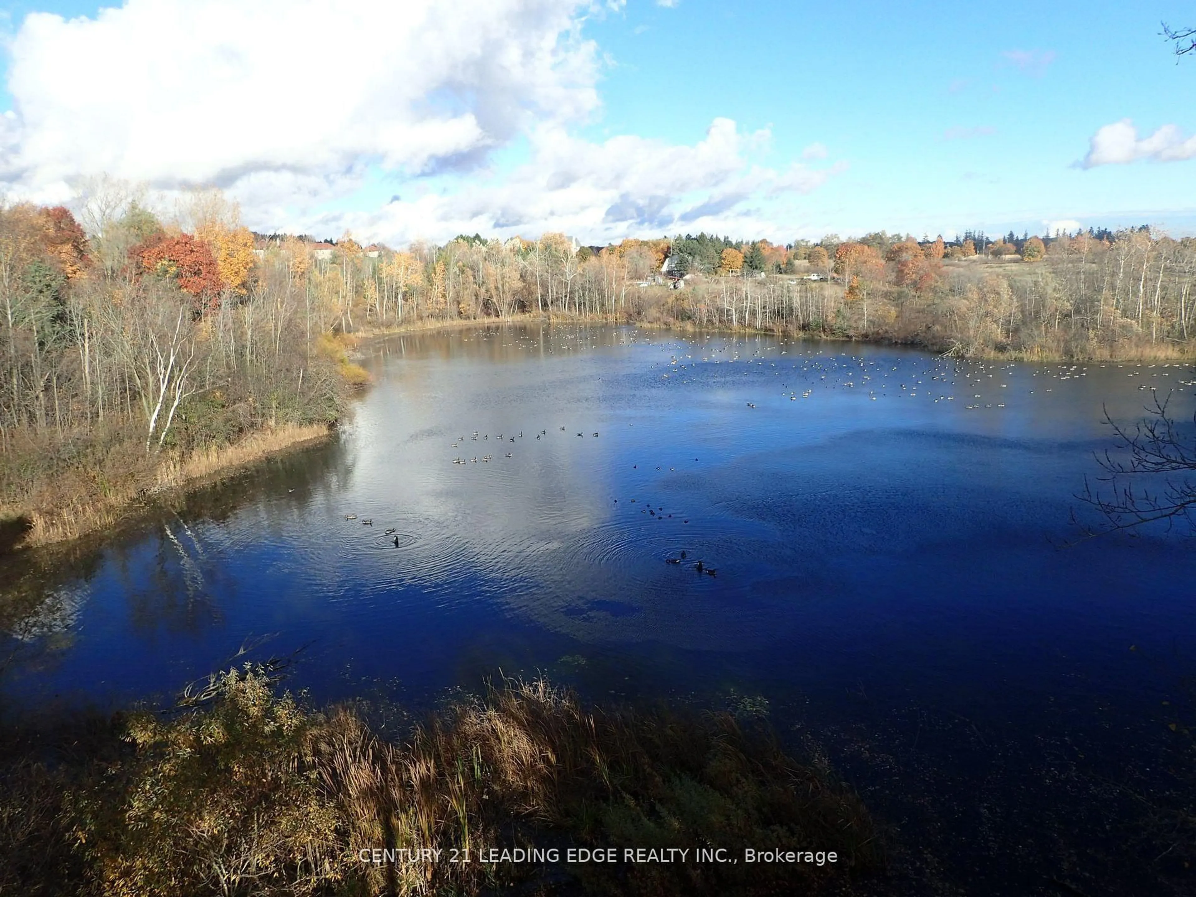 A pic from outside/outdoor area/front of a property/back of a property/a pic from drone, water/lake/river/ocean view for 3536 Bloomington Rd, Whitchurch-Stouffville Ontario L4A 4A2