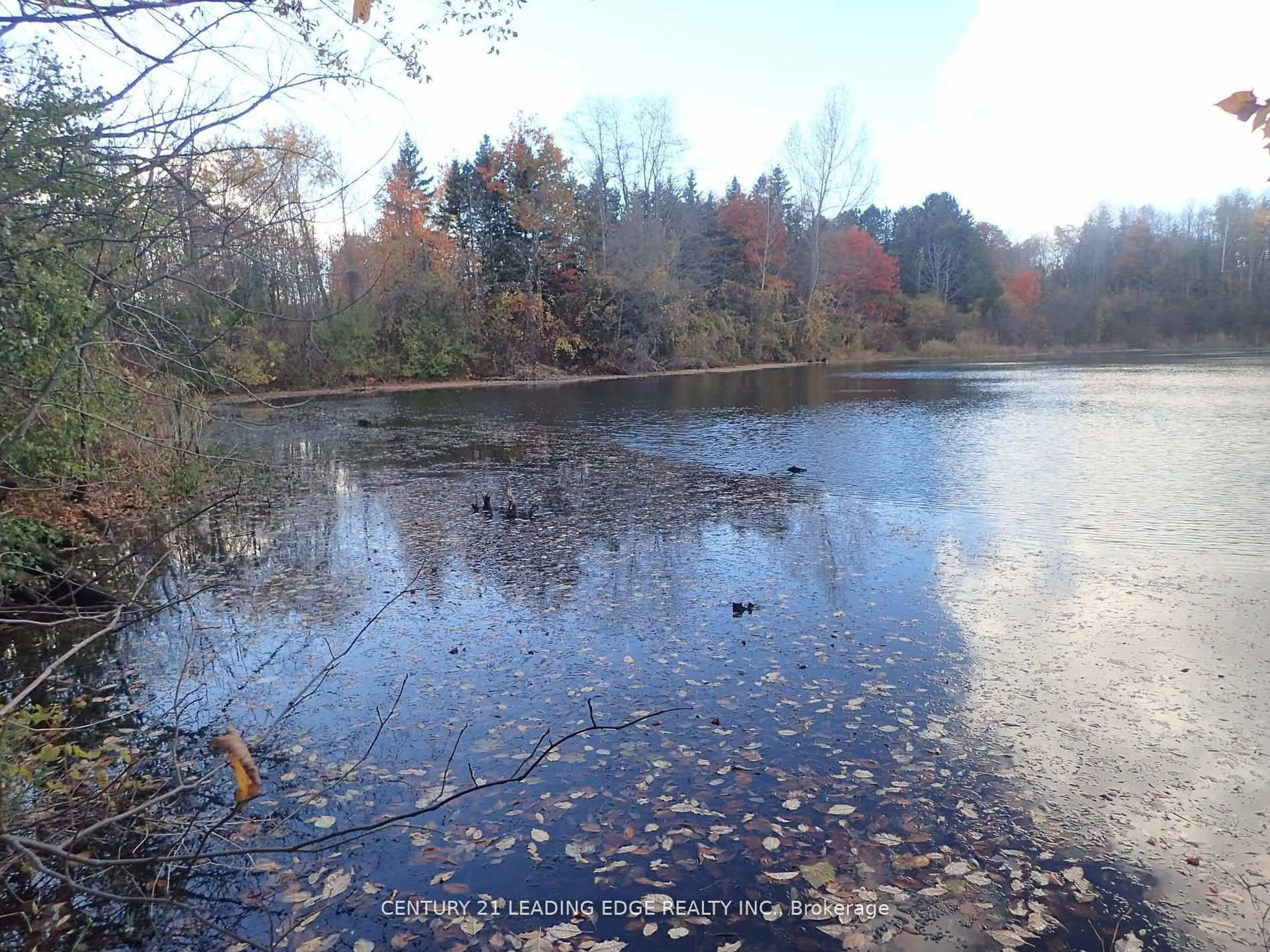 Blurry image for 3536 Bloomington Rd, Whitchurch-Stouffville Ontario L4A 4A2