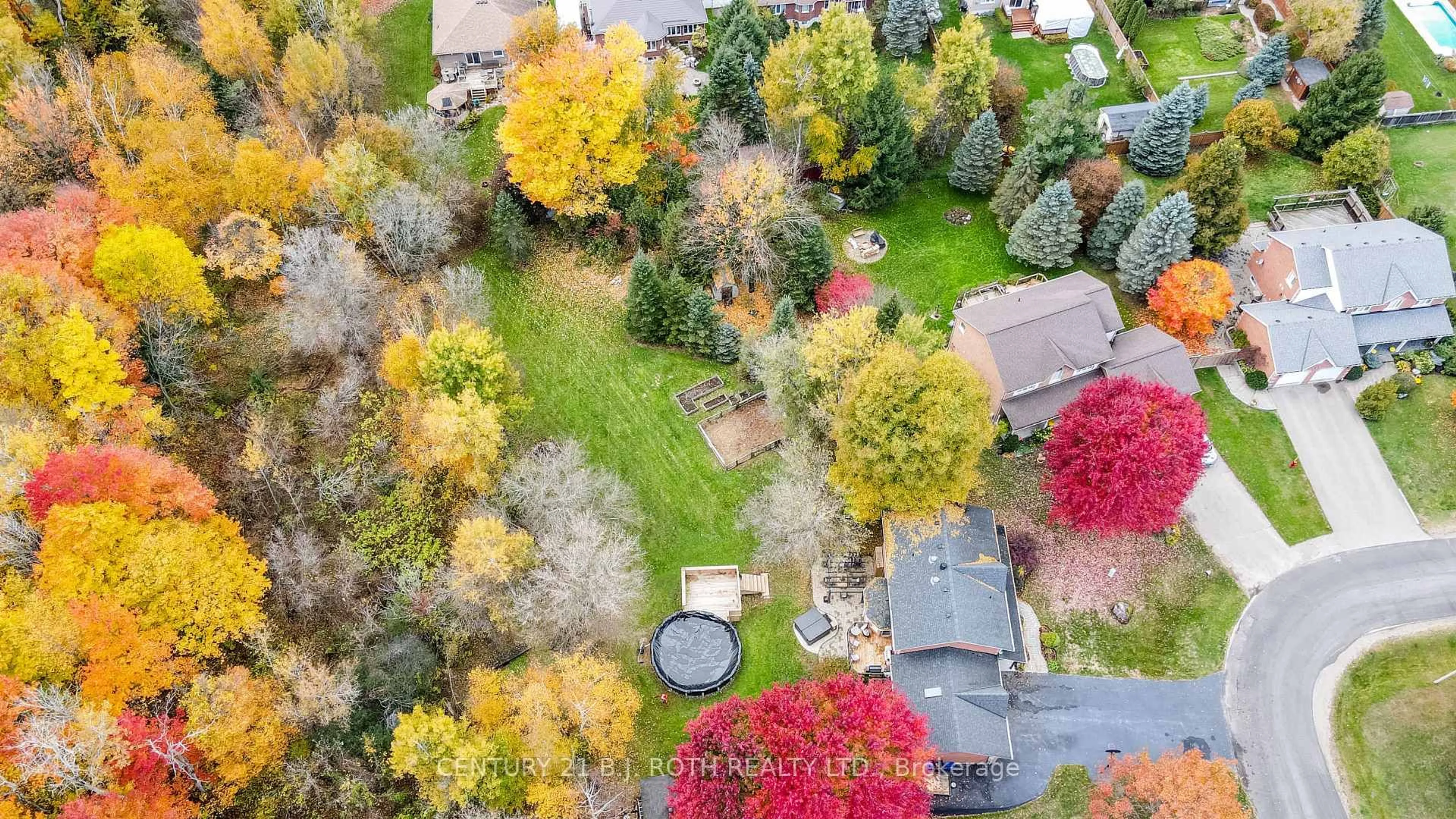 A pic from outside/outdoor area/front of a property/back of a property/a pic from drone, forest/trees view for 10 BRIAN Cres, Adjala-Tosorontio Ontario L0M 1J0