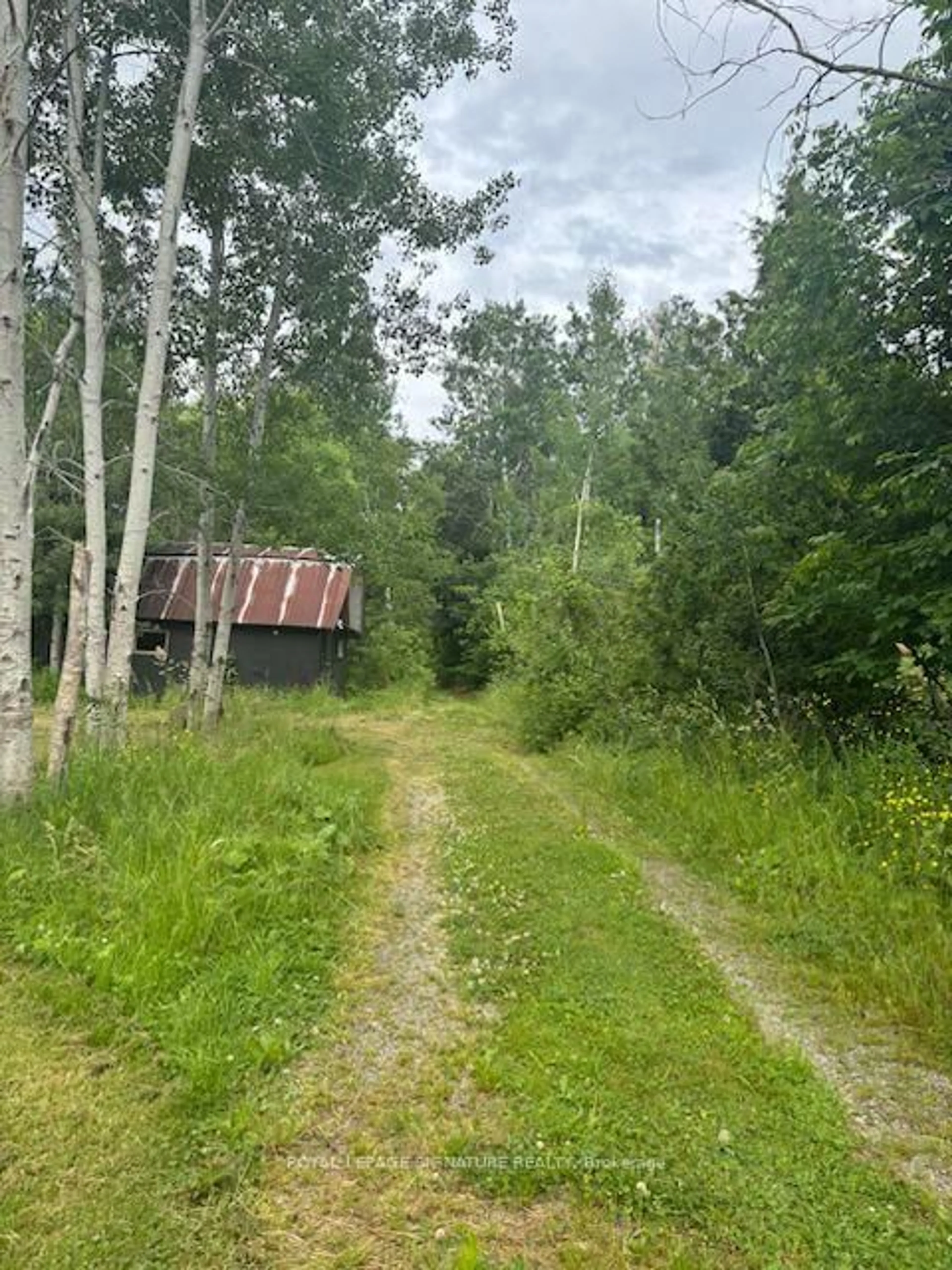 Shed for 16469 Concession Rd, King Ontario L7B 0E4