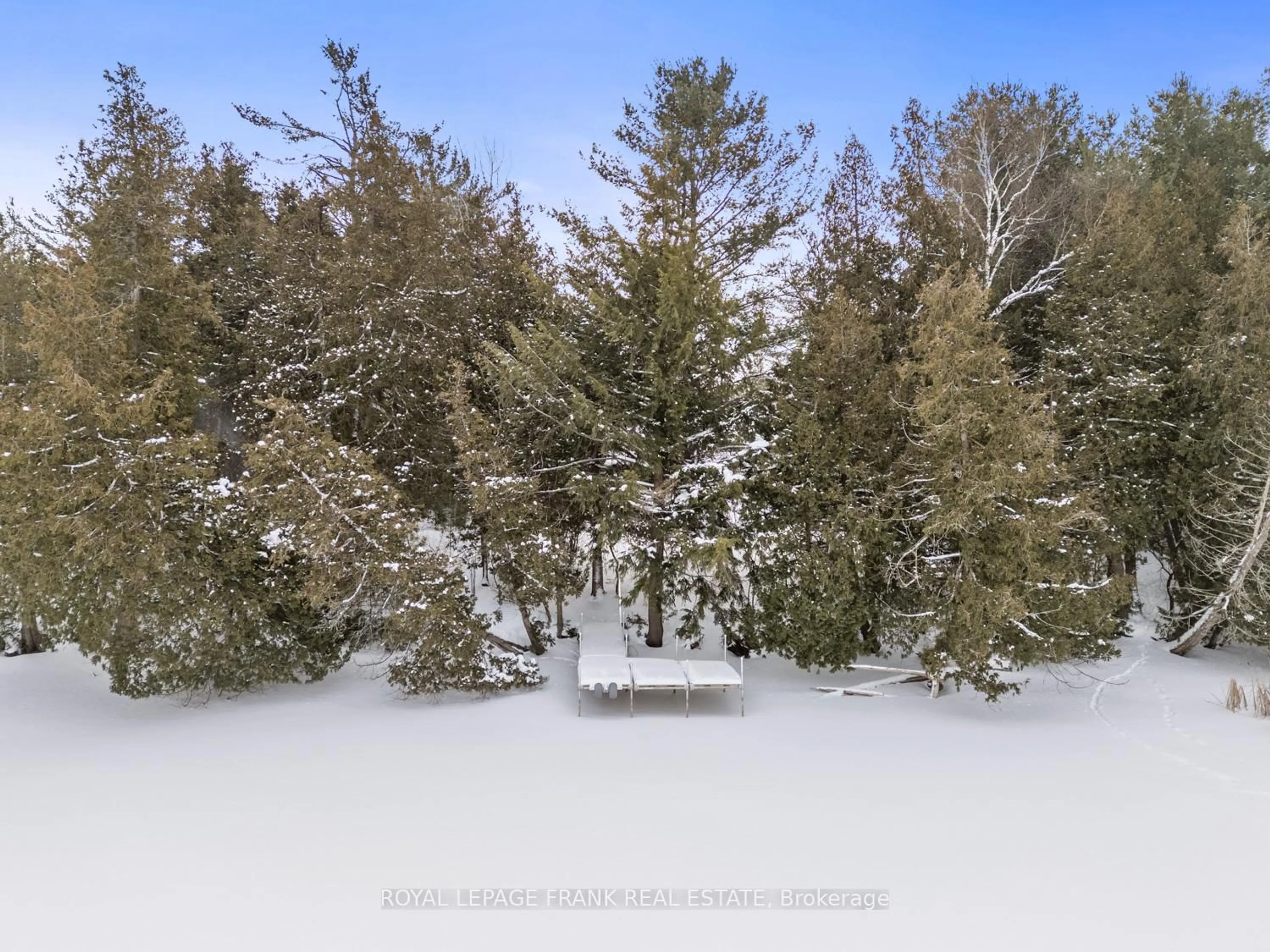 Unknown for 5 Regent St, Georgina Ontario L0E 1N0