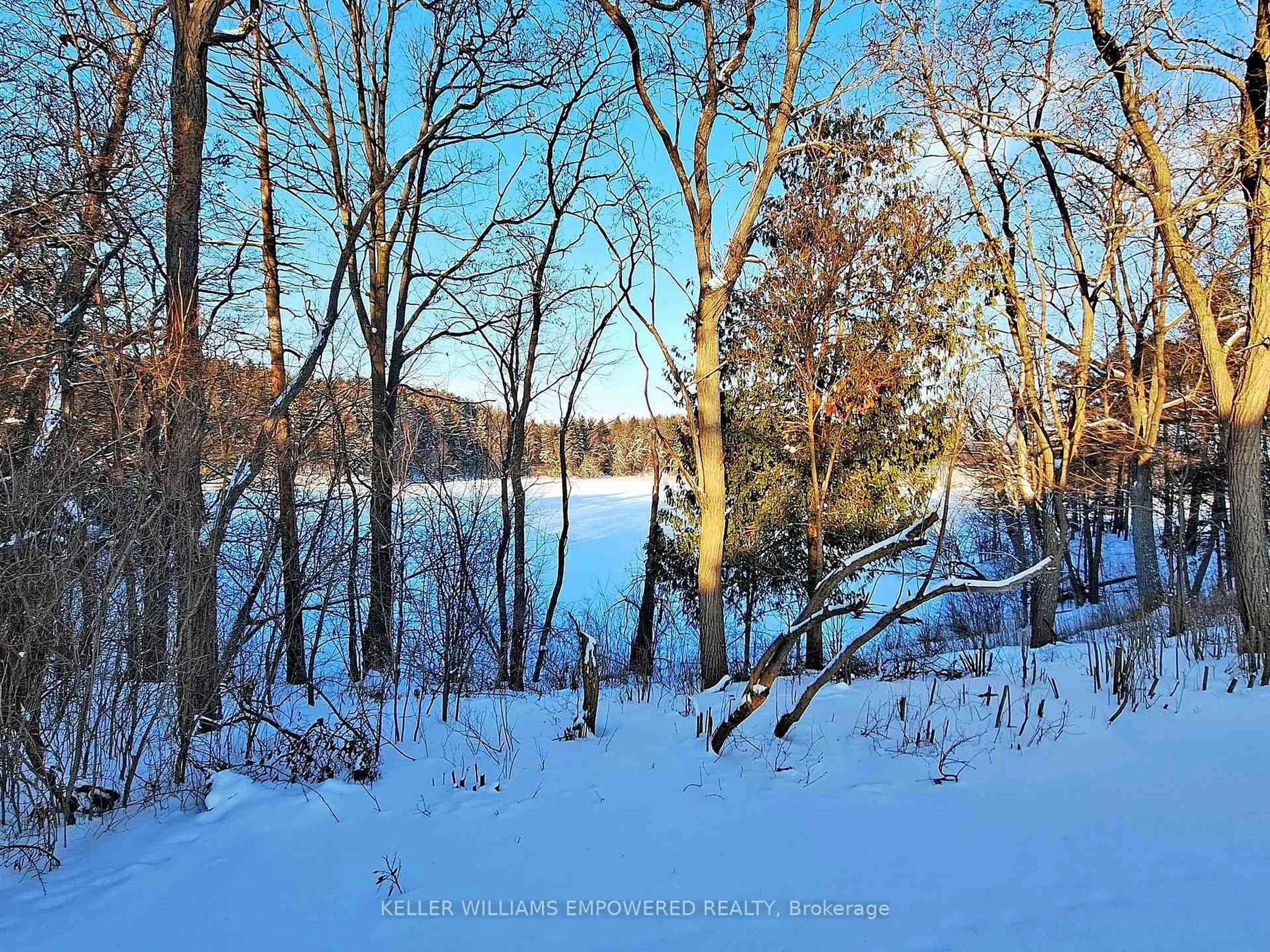 Unknown for 6 and 8 Macleod Estate Crt, Richmond Hill Ontario L4E 0B1