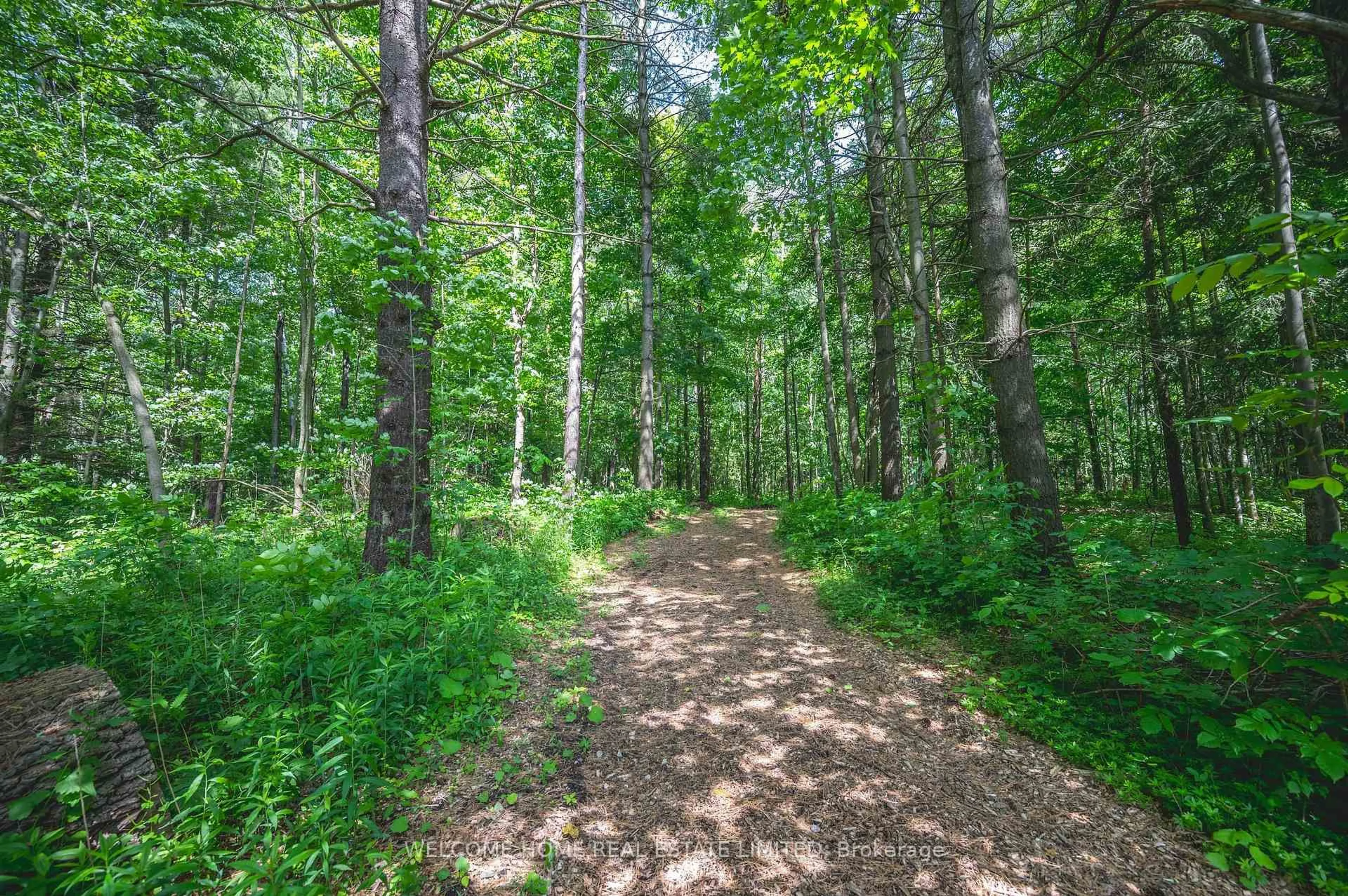 Unknown for 8071 4th Line, Essa Ontario L0M 1B1