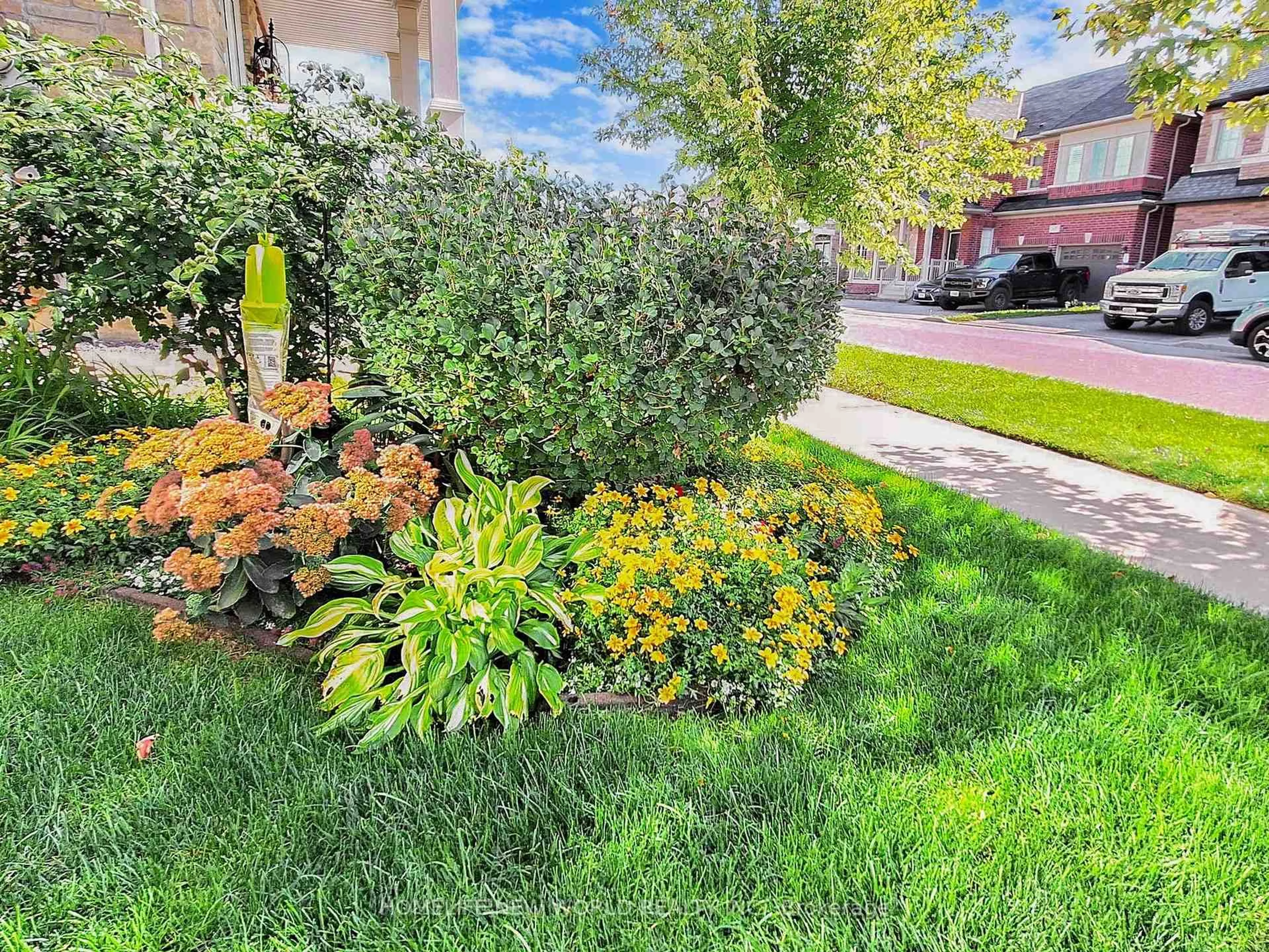 Patio, street for 64 Henry Bauer Ave, Markham Ontario L6C 0T1