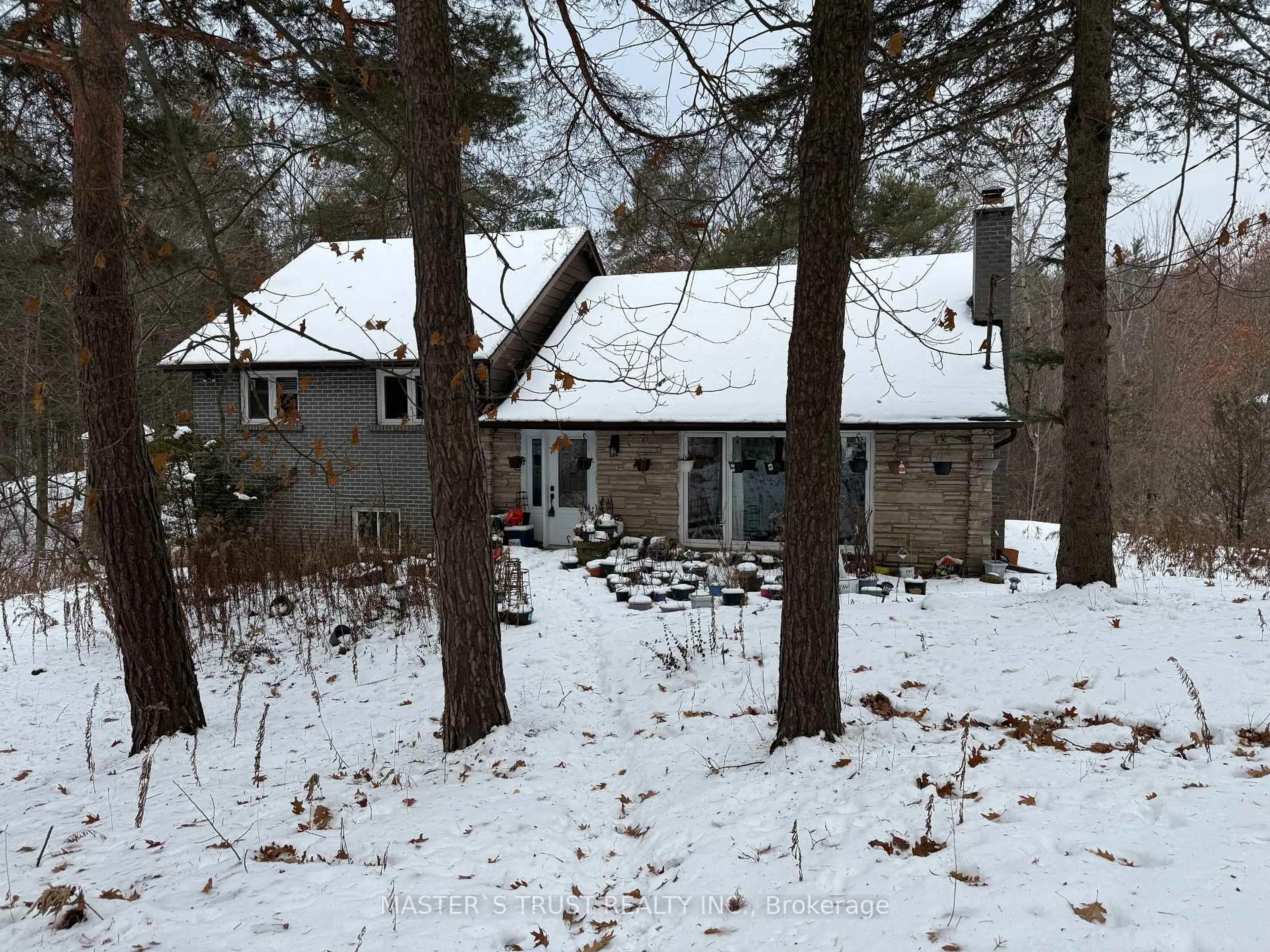 A pic from outside/outdoor area/front of a property/back of a property/a pic from drone, forest/trees view for 14178 Yonge St, Aurora Ontario L4G 0P5