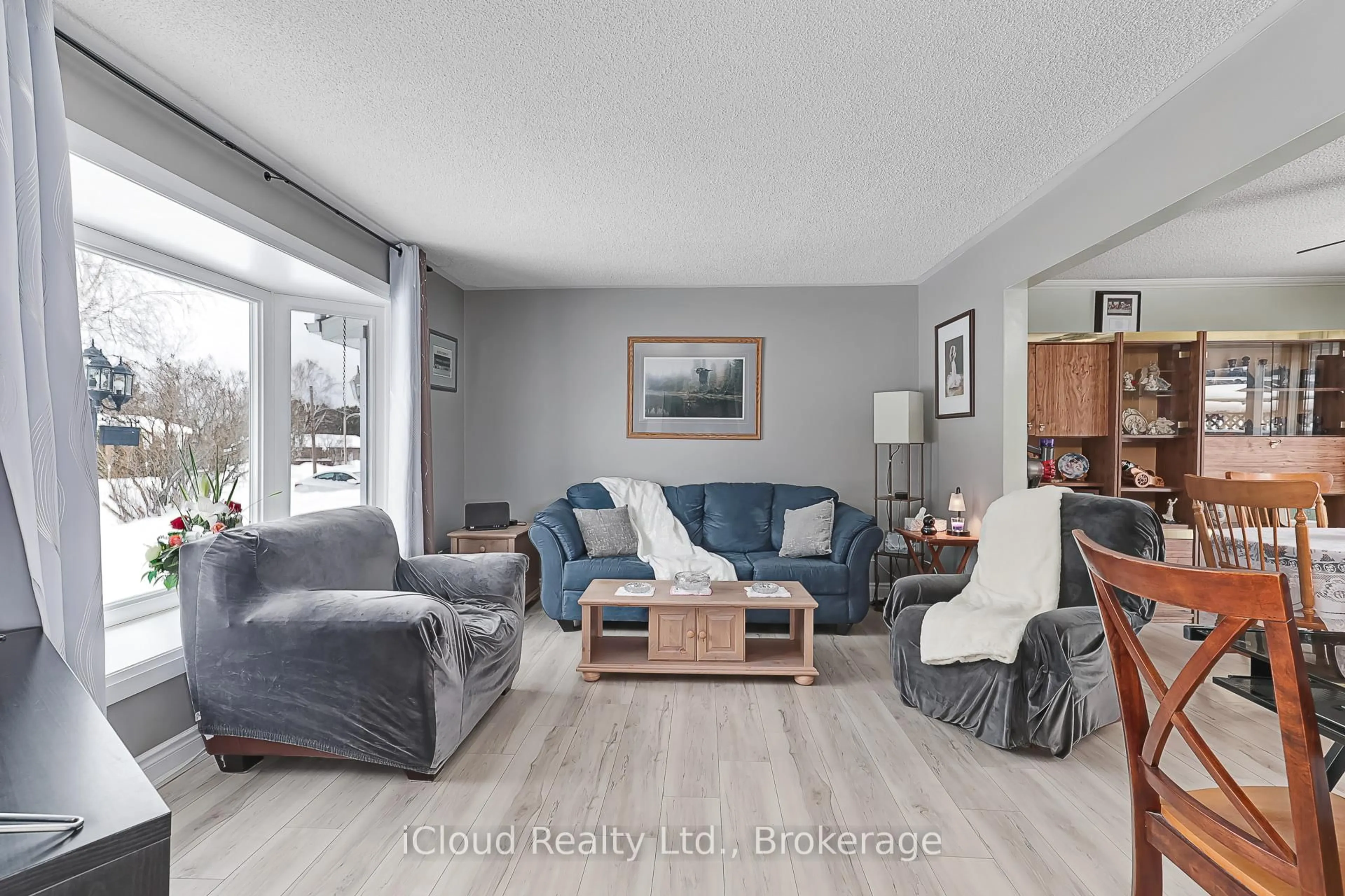 Living room with furniture, wood/laminate floor for 135 King St, Adjala-Tosorontio Ontario L0M 1M0