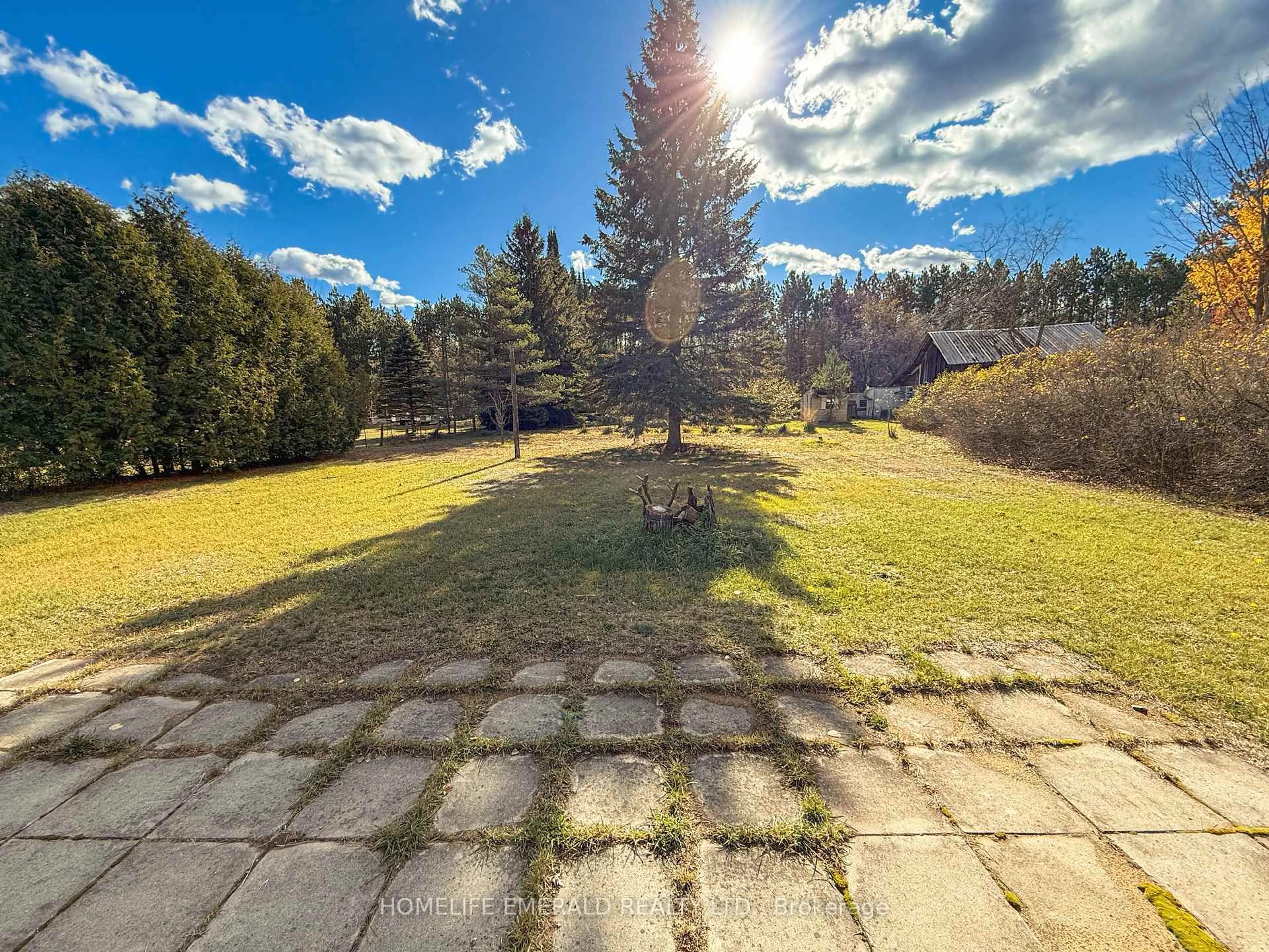 A pic from outside/outdoor area/front of a property/back of a property/a pic from drone, forest/trees view for 8169 Main St, Adjala-Tosorontio Ontario L0M 1M0