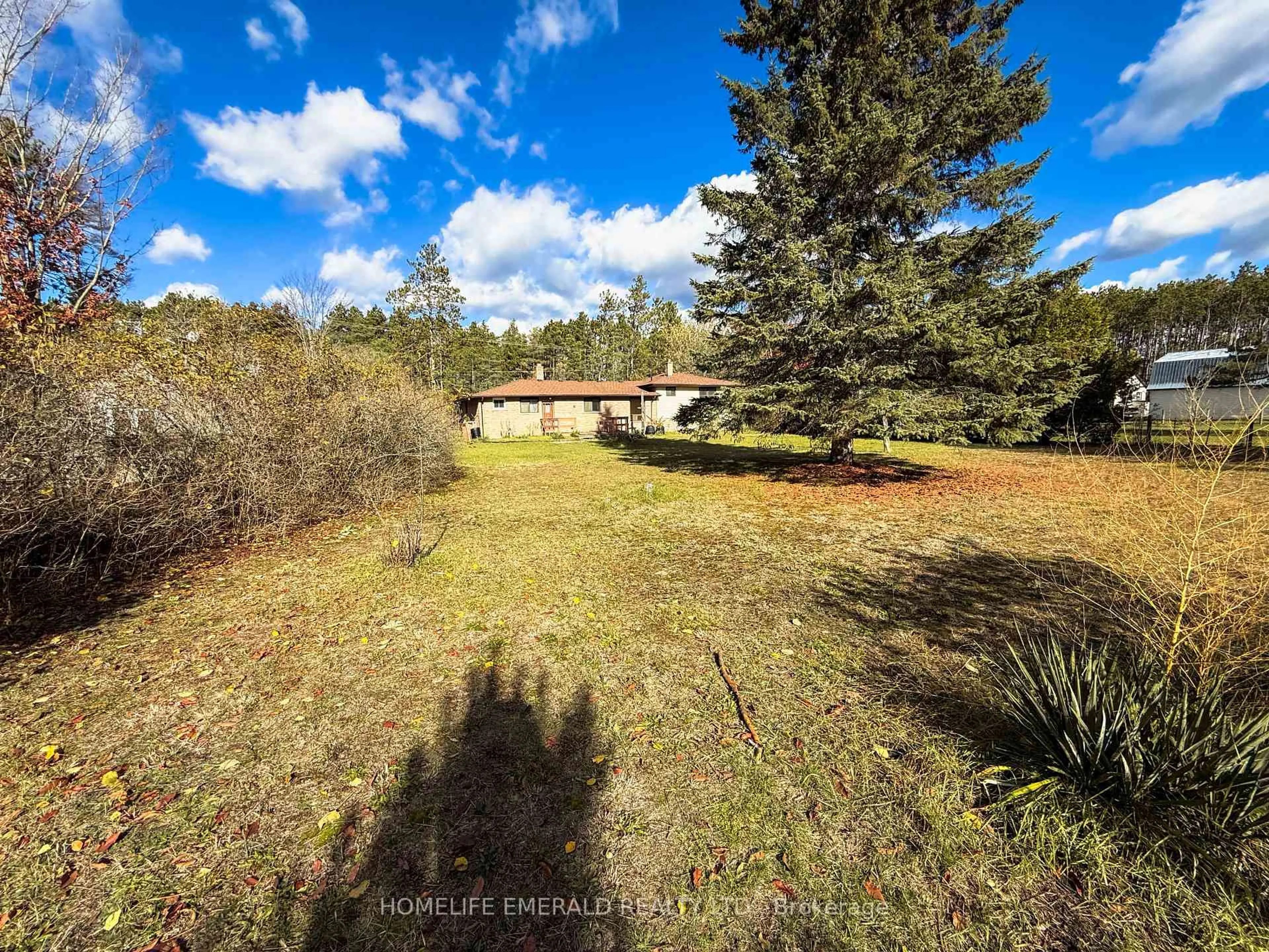 A pic from outside/outdoor area/front of a property/back of a property/a pic from drone, forest/trees view for 8169 Main St, Adjala-Tosorontio Ontario L0M 1M0