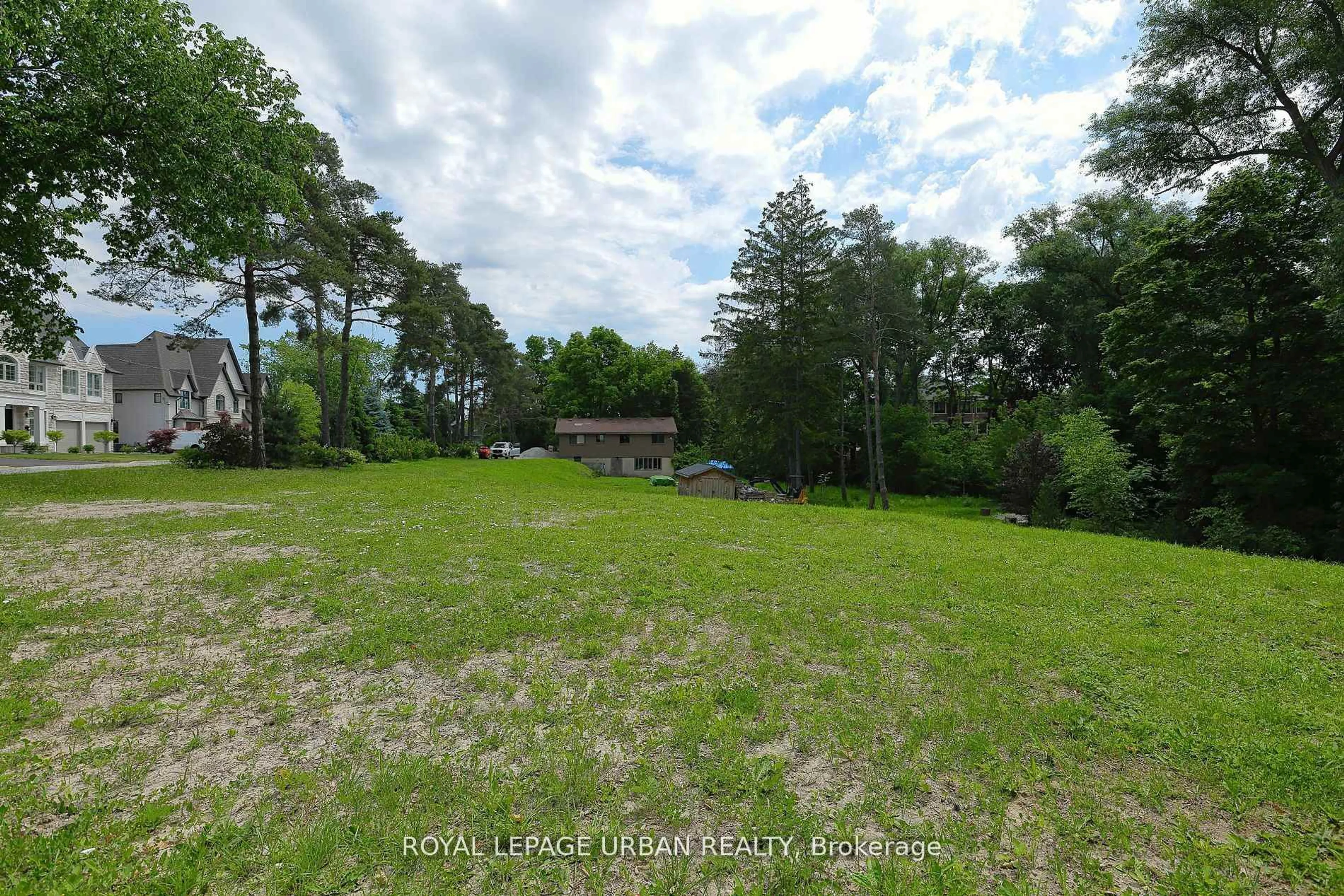 A pic from outside/outdoor area/front of a property/back of a property/a pic from drone, forest/trees view for 28 Avenue Rd, Richmond Hill Ontario L4C 6C6