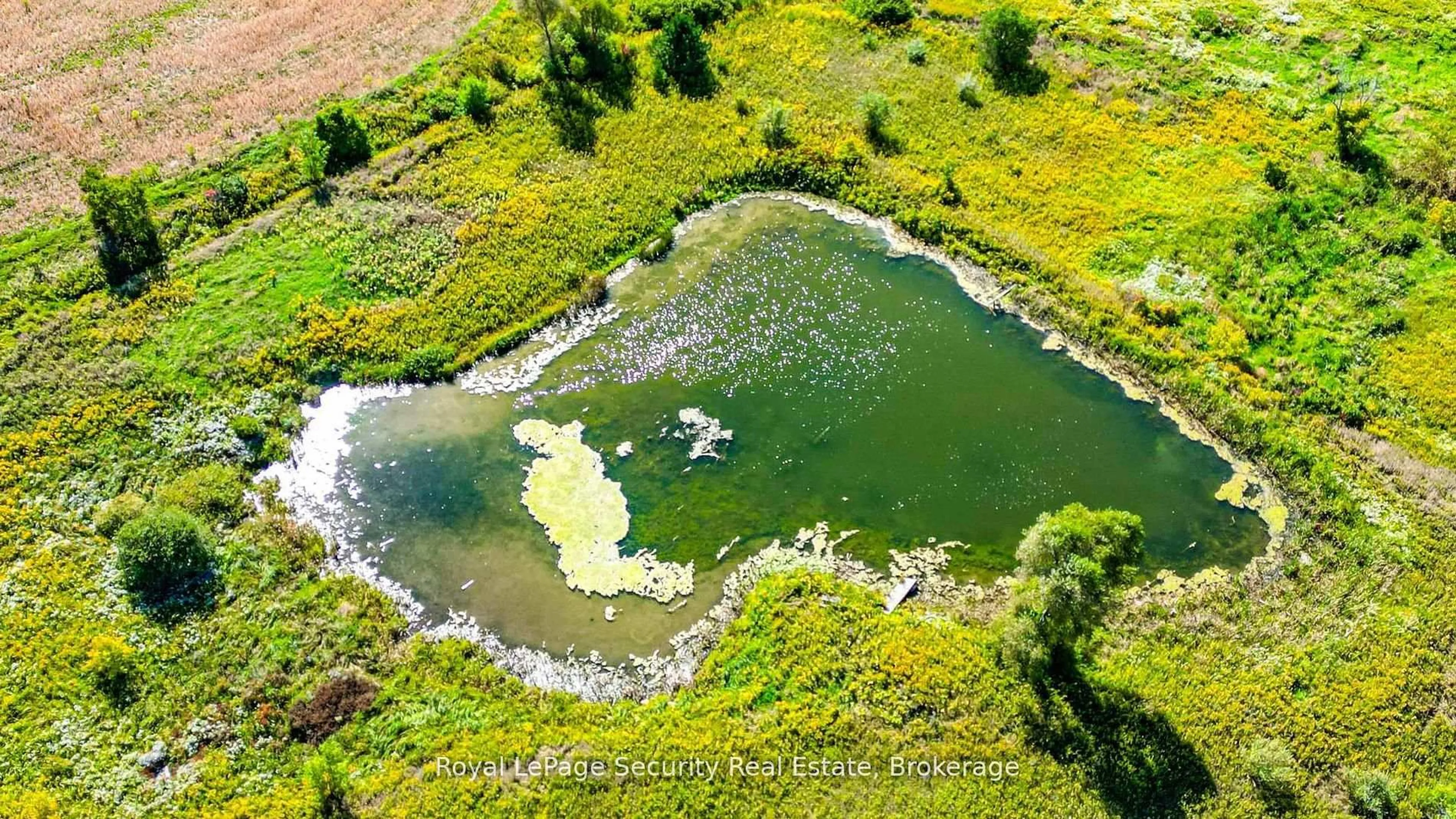 A pic from outside/outdoor area/front of a property/back of a property/a pic from drone, water/lake/river/ocean view for 3280 19th Sdrd, King Ontario L7B 0G8
