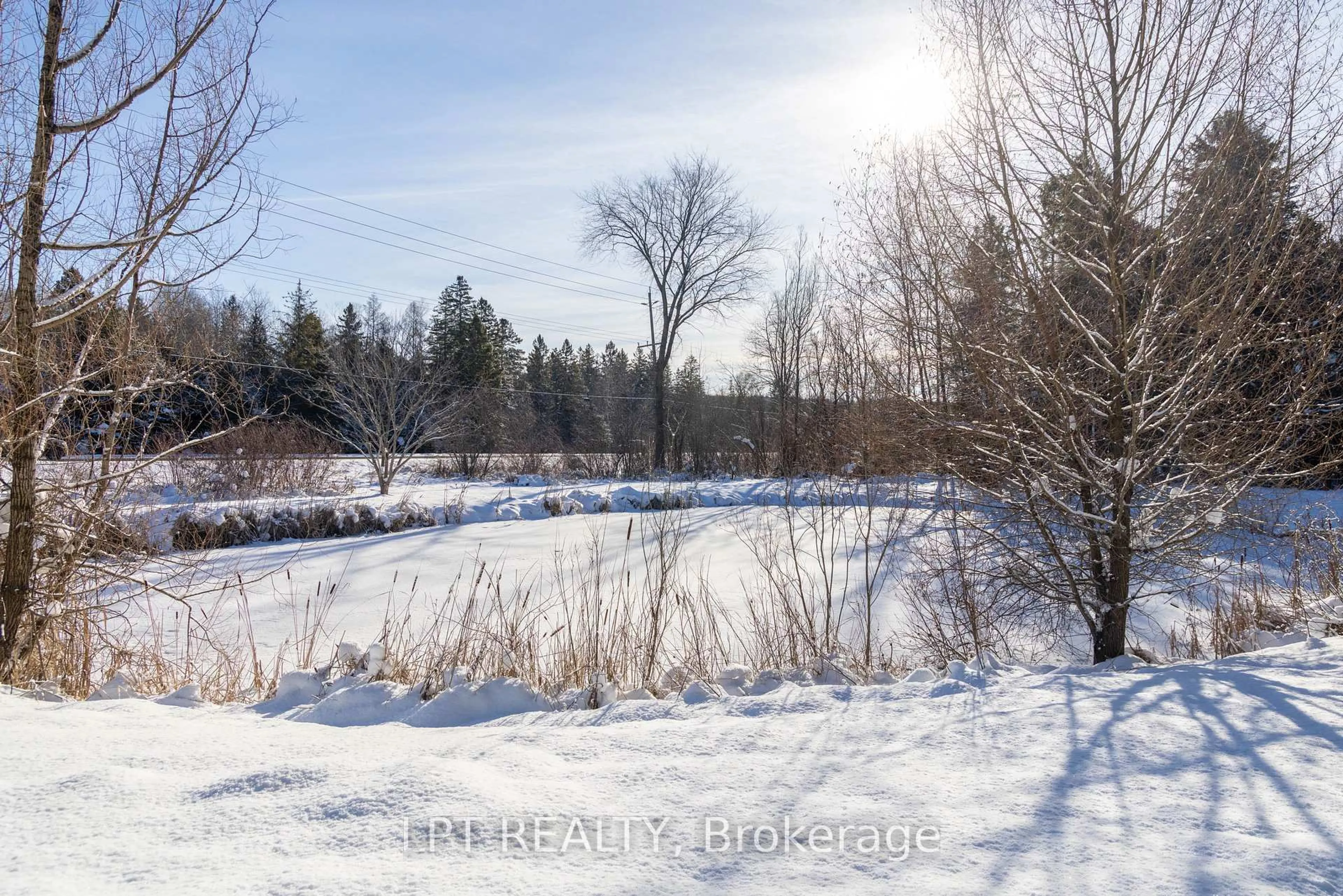 A pic from outside/outdoor area/front of a property/back of a property/a pic from drone, forest/trees view for 21626 Highway 48 Rd, East Gwillimbury Ontario L0G 1M0