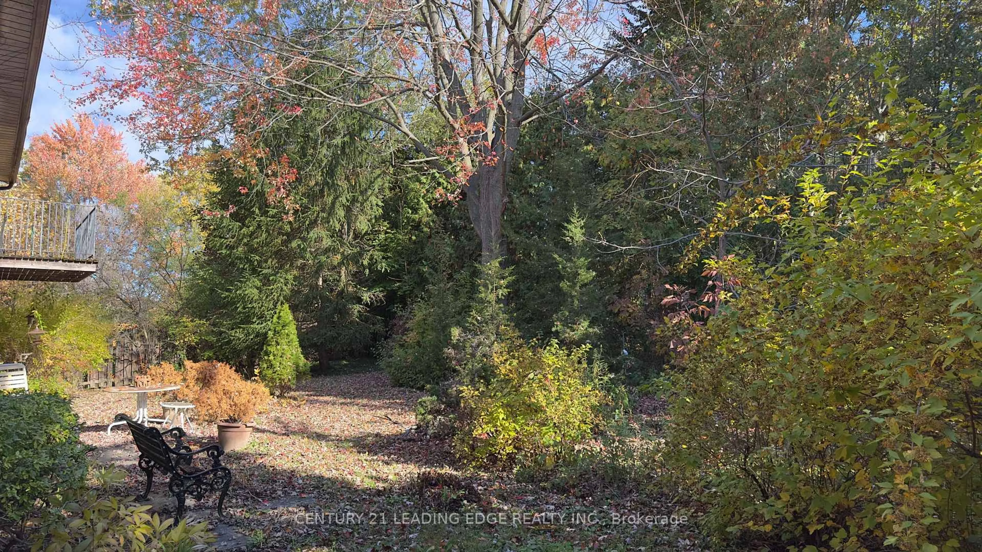 A pic from outside/outdoor area/front of a property/back of a property/a pic from drone, forest/trees view for 117 WESTWOOD Lane, Richmond Hill Ontario L4C 6X8