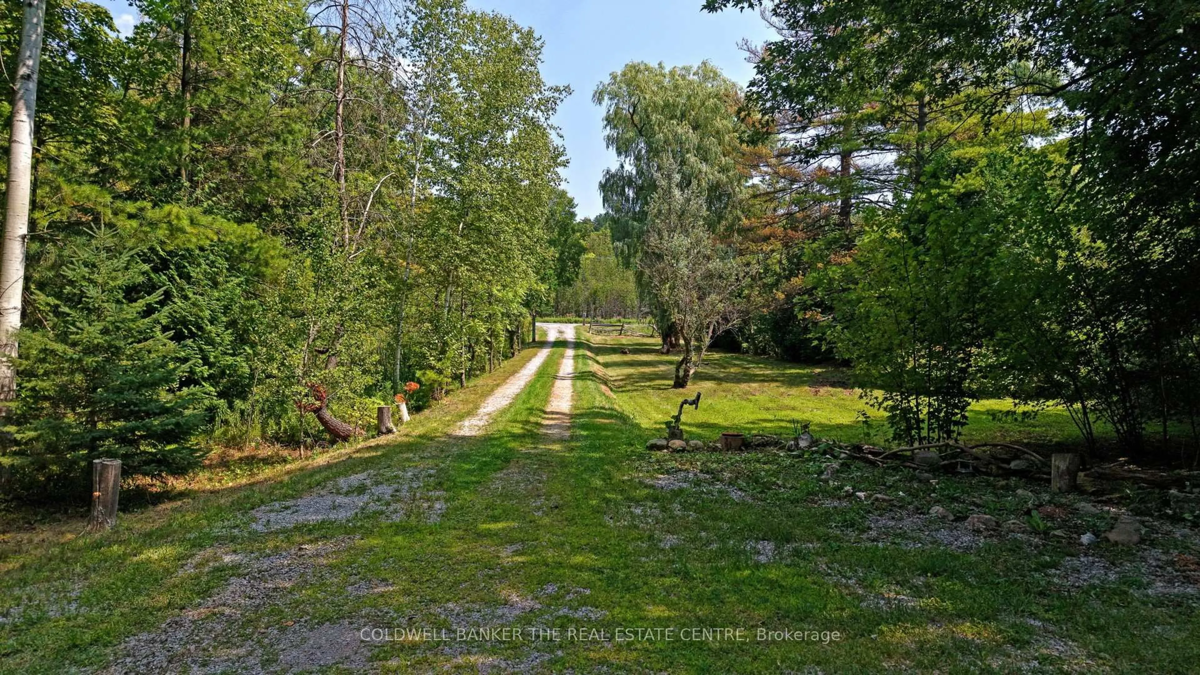 A pic from outside/outdoor area/front of a property/back of a property/a pic from drone, forest/trees view for 15600 Weston Rd, King Ontario L7B 0L1