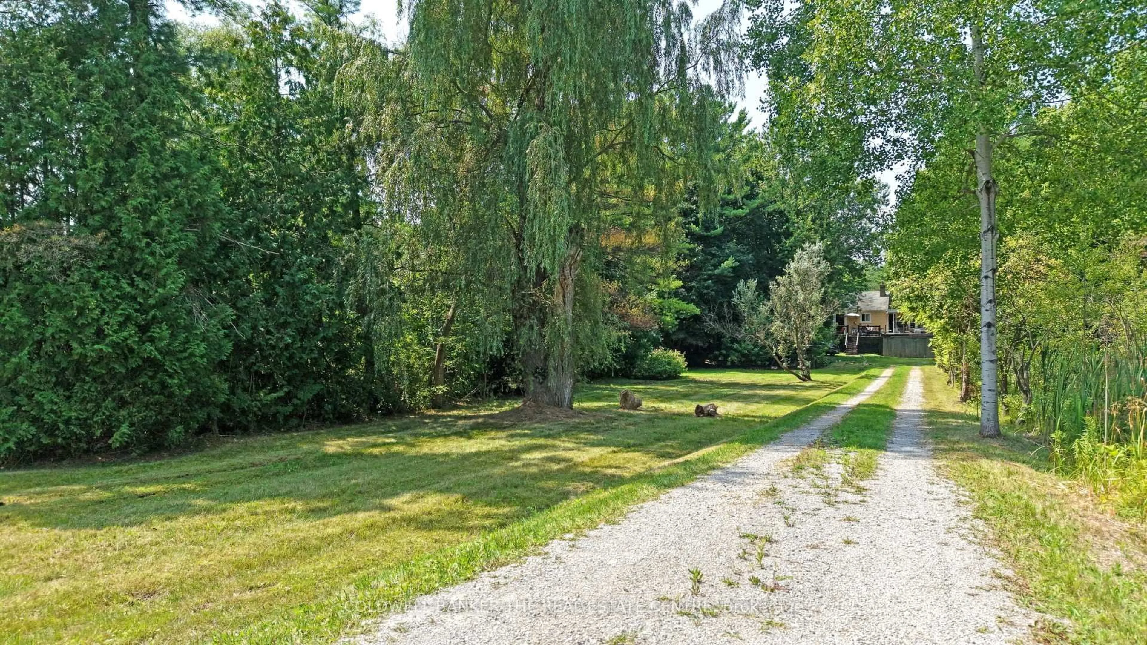 Patio, forest/trees view for 15600 Weston Rd, King Ontario L7B 0L1