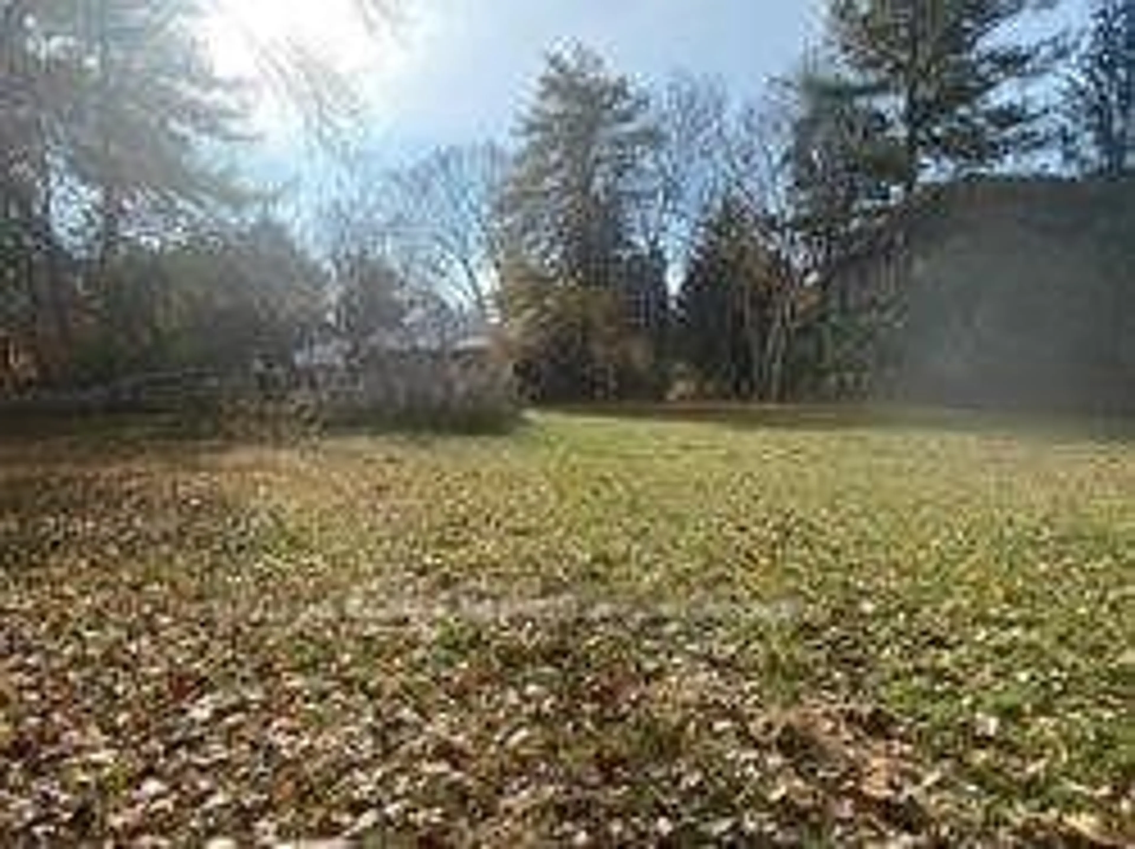 A pic from outside/outdoor area/front of a property/back of a property/a pic from drone, forest/trees view for 52 Proctor Ave, Markham Ontario L3T 1M5