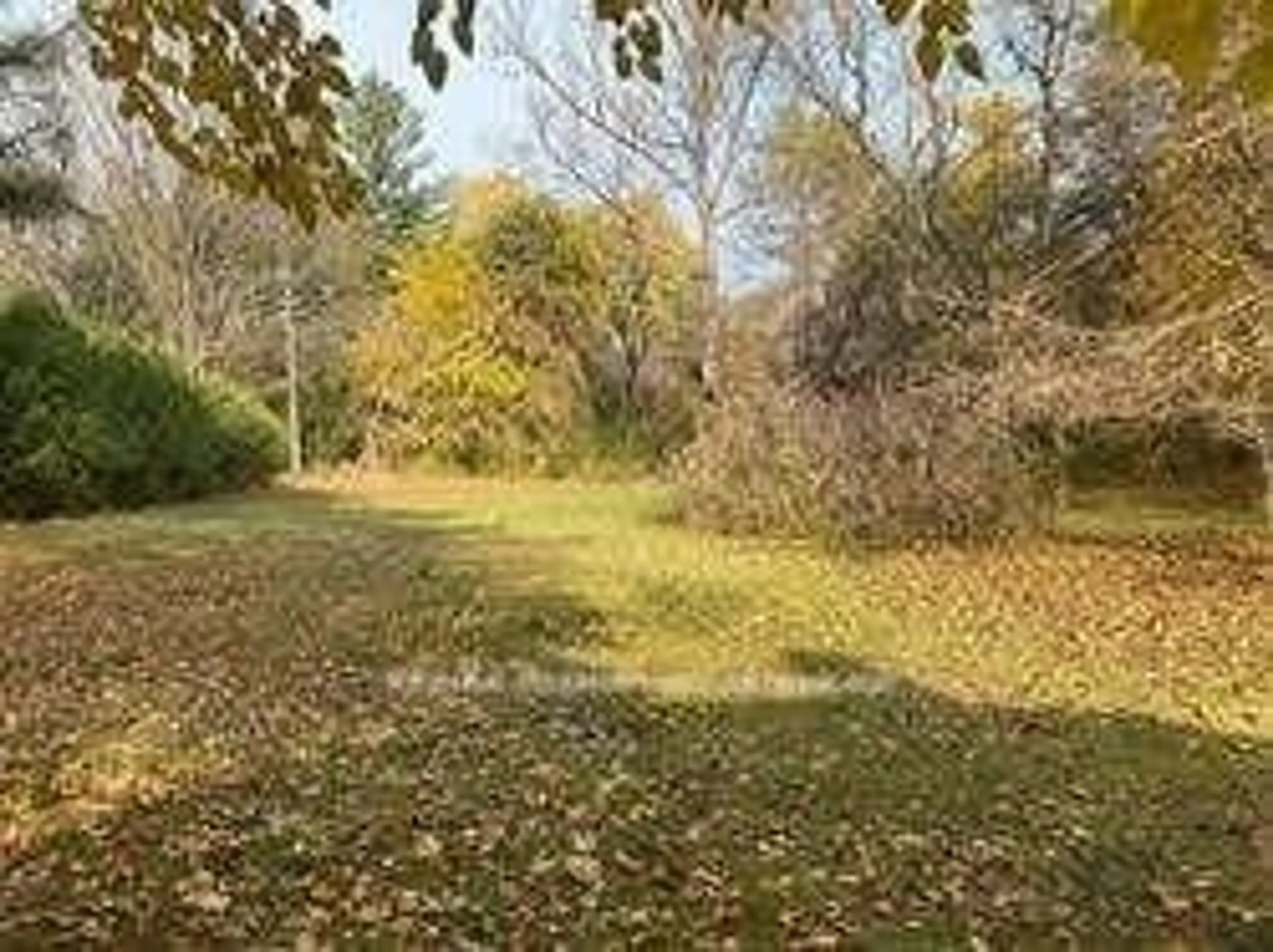 Unknown for 52 Proctor Ave, Markham Ontario L3T 1M5