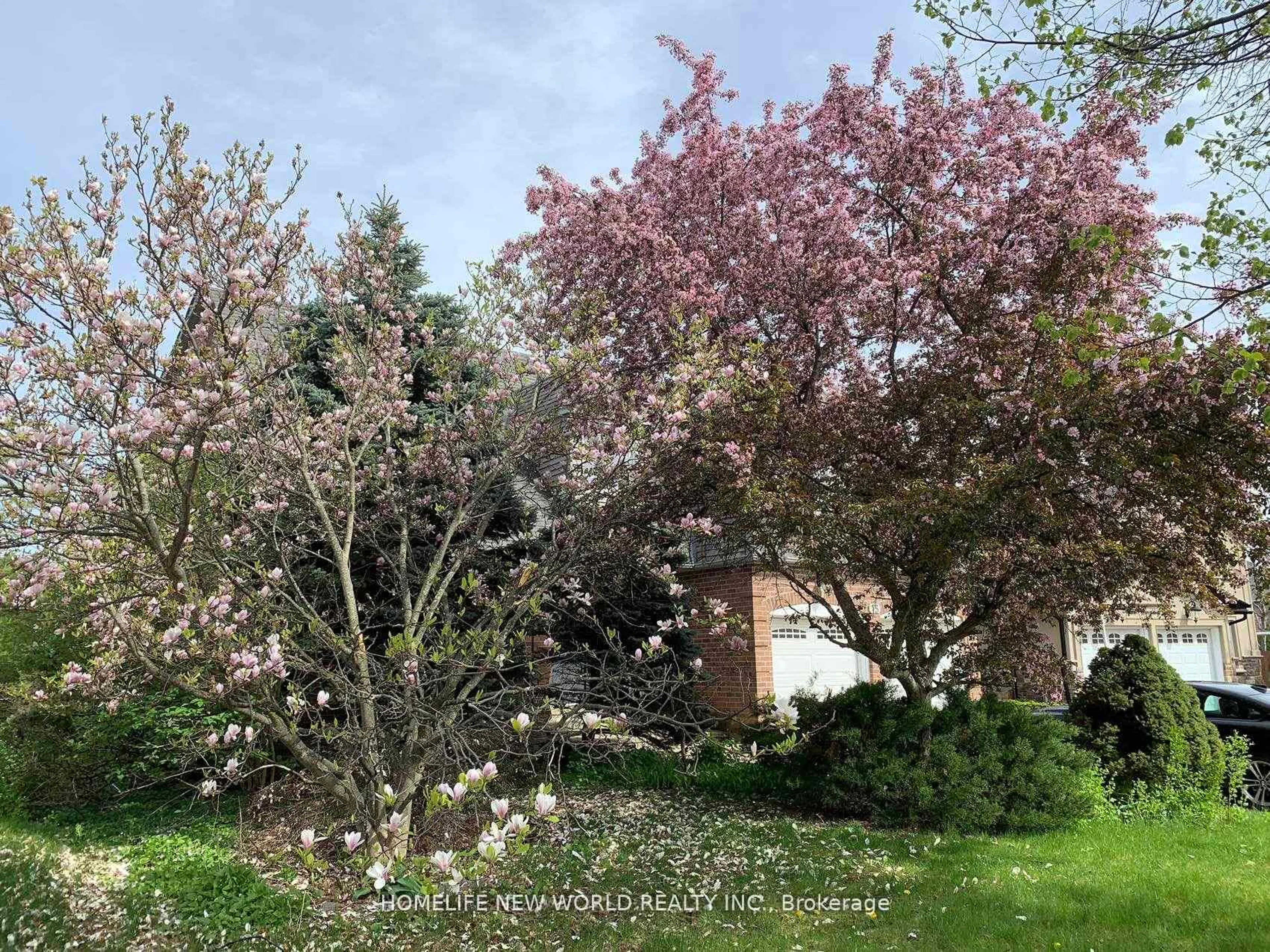 A pic from outside/outdoor area/front of a property/back of a property/a pic from drone, street for 15 Marylebone Cres, Richmond Hill Ontario L4E 2L5