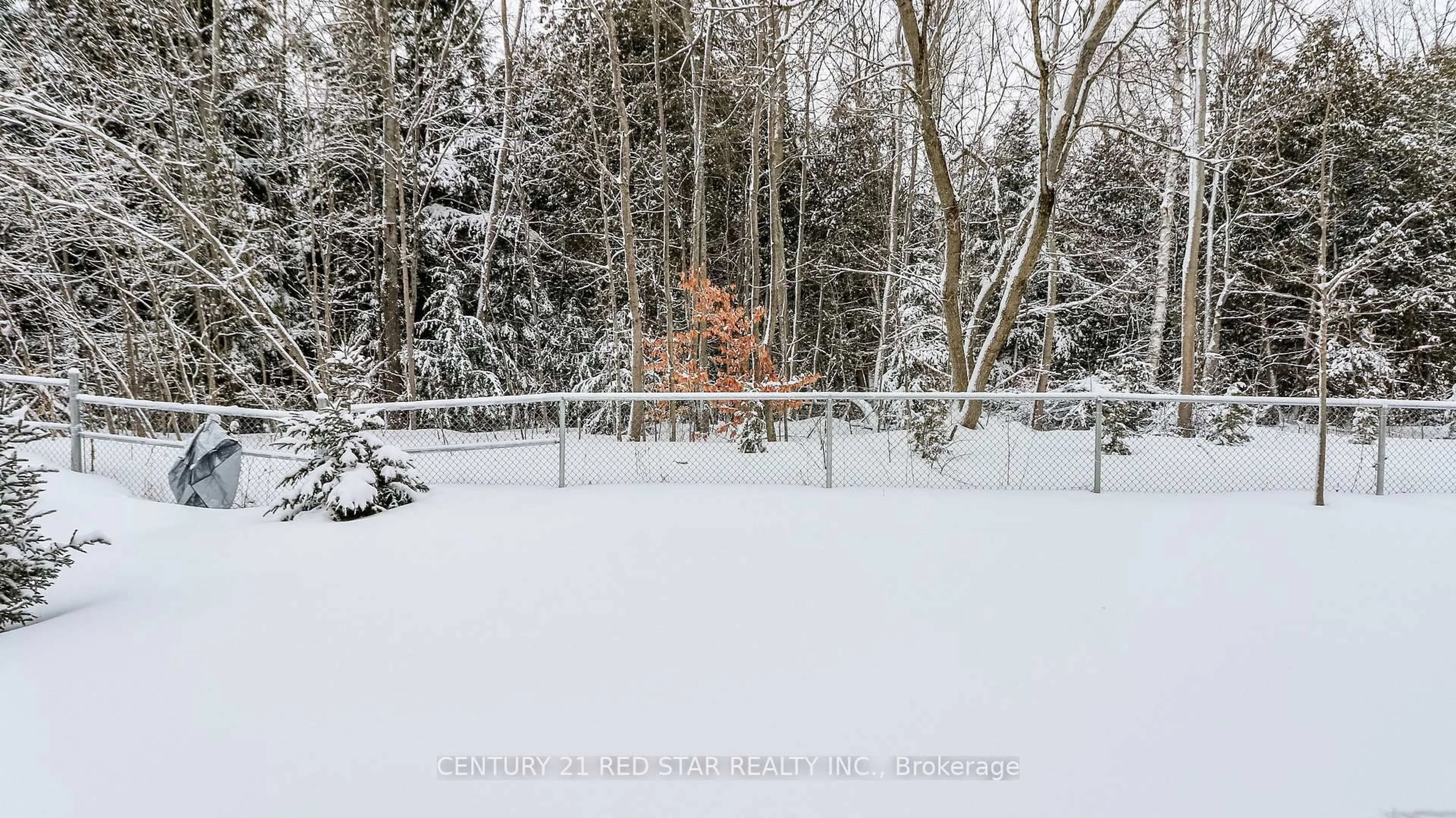 Patio, forest/trees view for 32 Milson Cres, Essa Ontario L0M 1B4