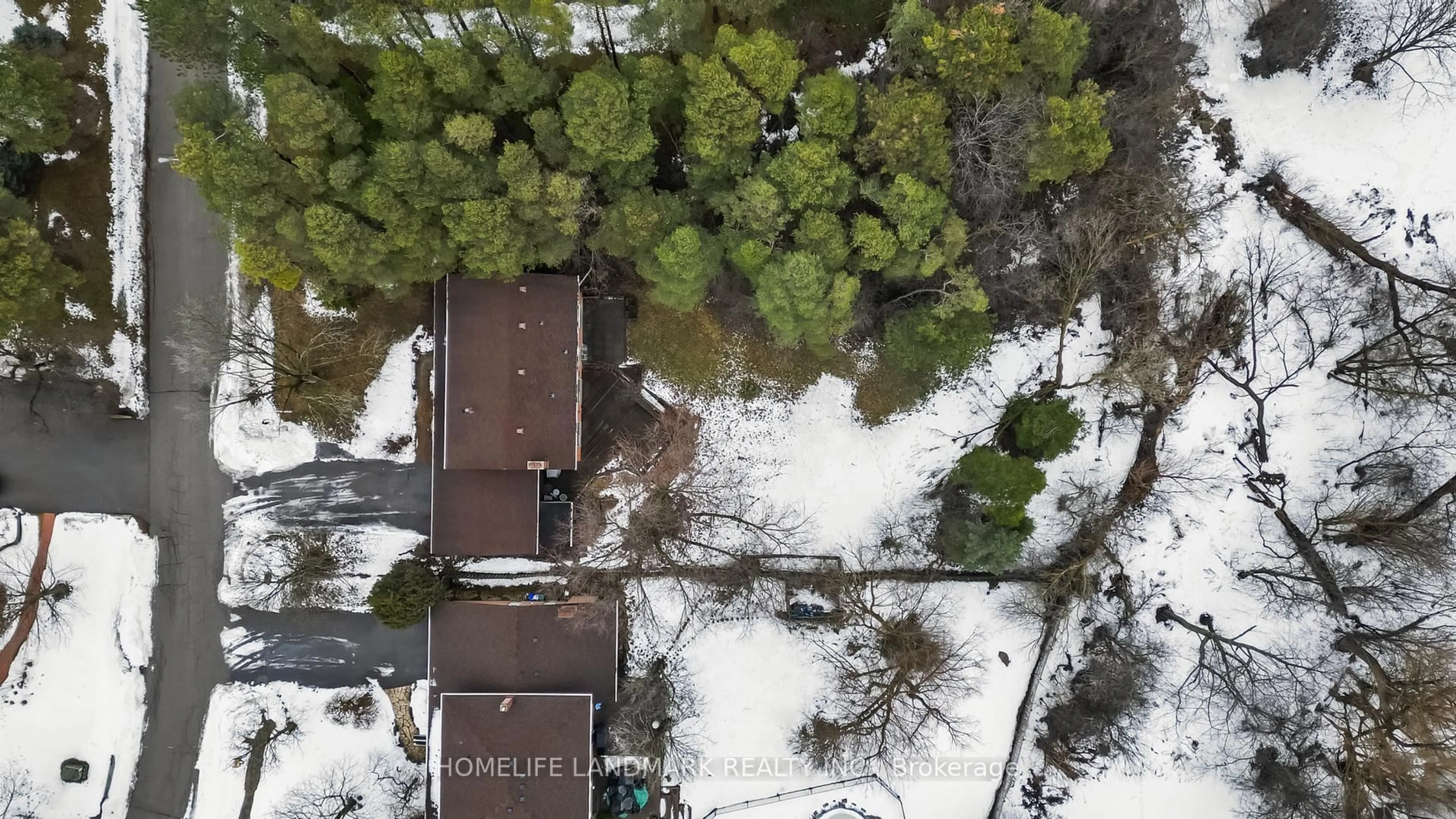 A pic from outside/outdoor area/front of a property/back of a property/a pic from drone, forest/trees view for 36 Cynthia Cres, Richmond Hill Ontario L4E 2R1