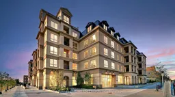 history photo preview