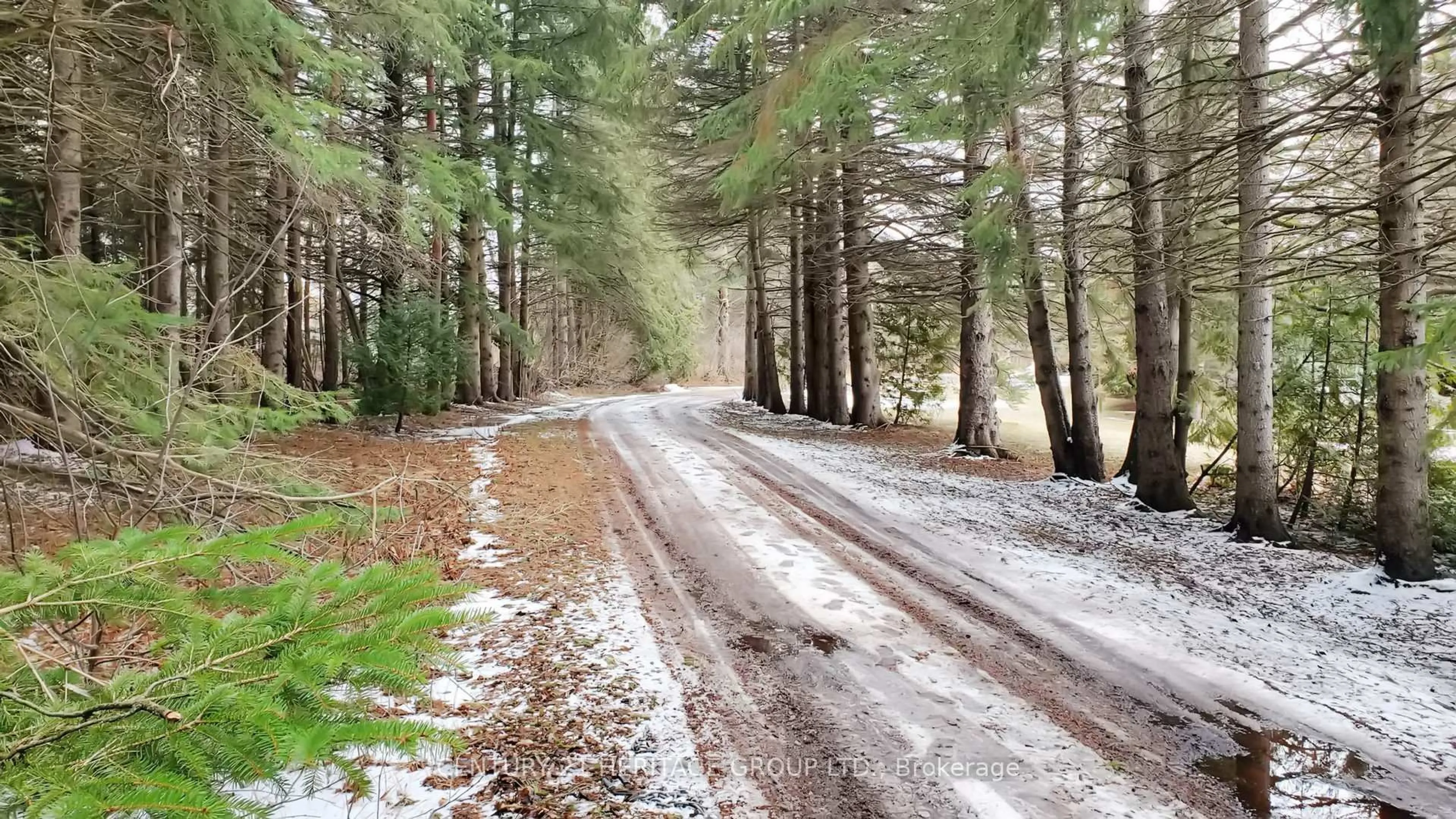 Blurry image for 21455 Warden Ave, East Gwillimbury Ontario L0G 1R0