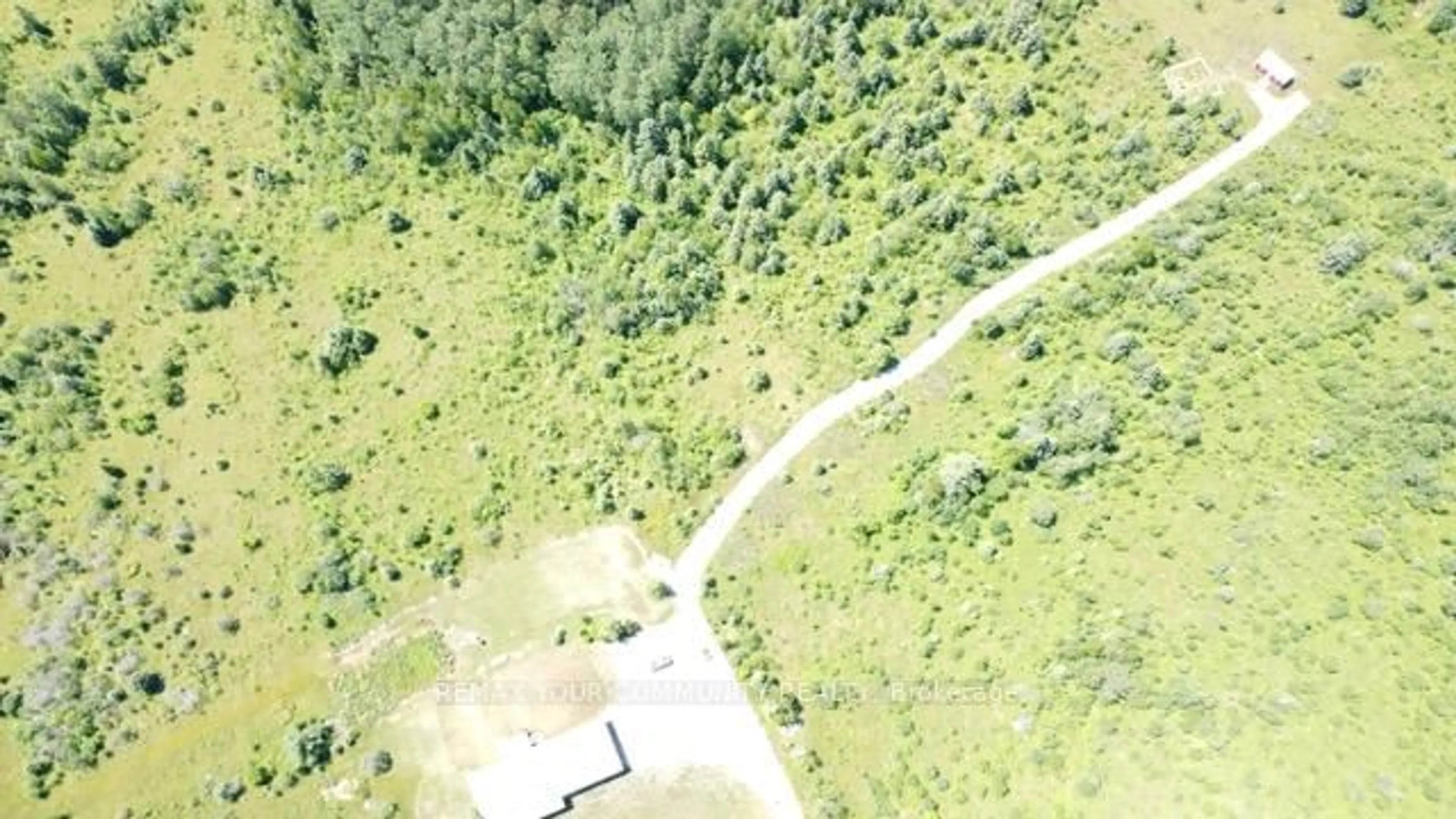 A pic from outside/outdoor area/front of a property/back of a property/a pic from drone, forest/trees view for 31750 Simcoe St, Brock Ontario L0K 1A0