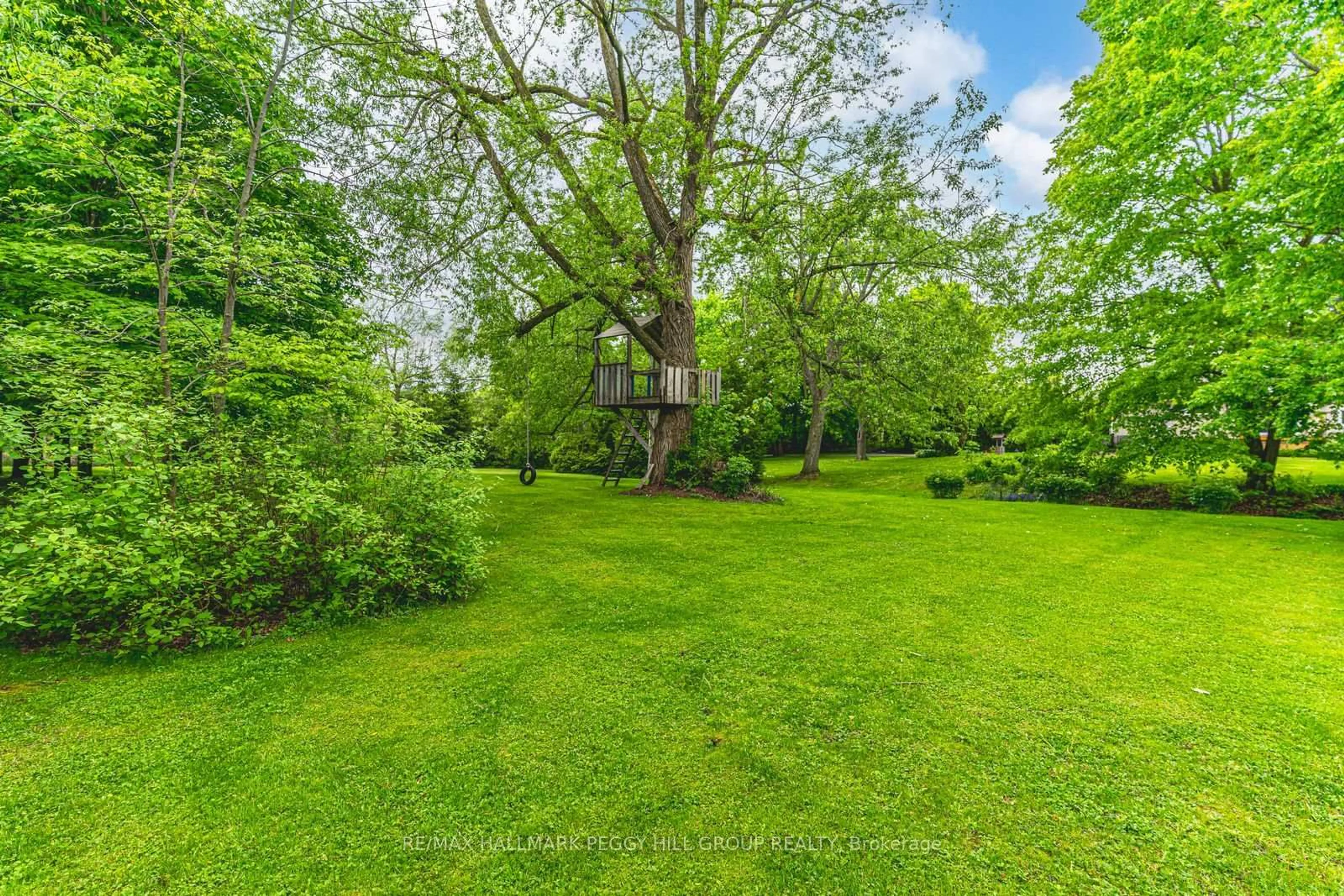 A pic from outside/outdoor area/front of a property/back of a property/a pic from drone, forest/trees view for 5853 Yonge St, Innisfil Ontario L0L 1K0