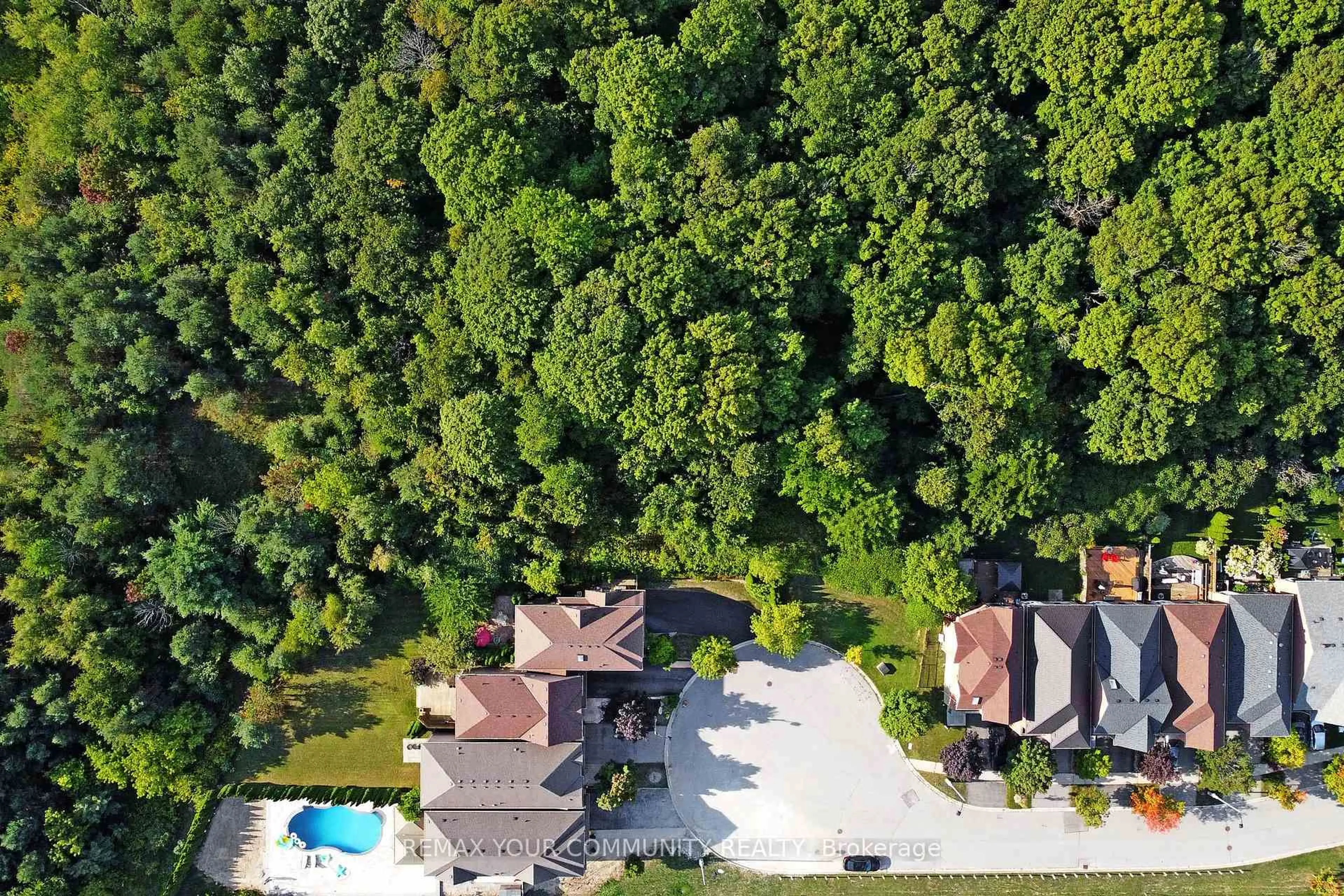 A pic from outside/outdoor area/front of a property/back of a property/a pic from drone, forest/trees view for 55 Carriage House Crt, Richmond Hill Ontario L4E 4V3